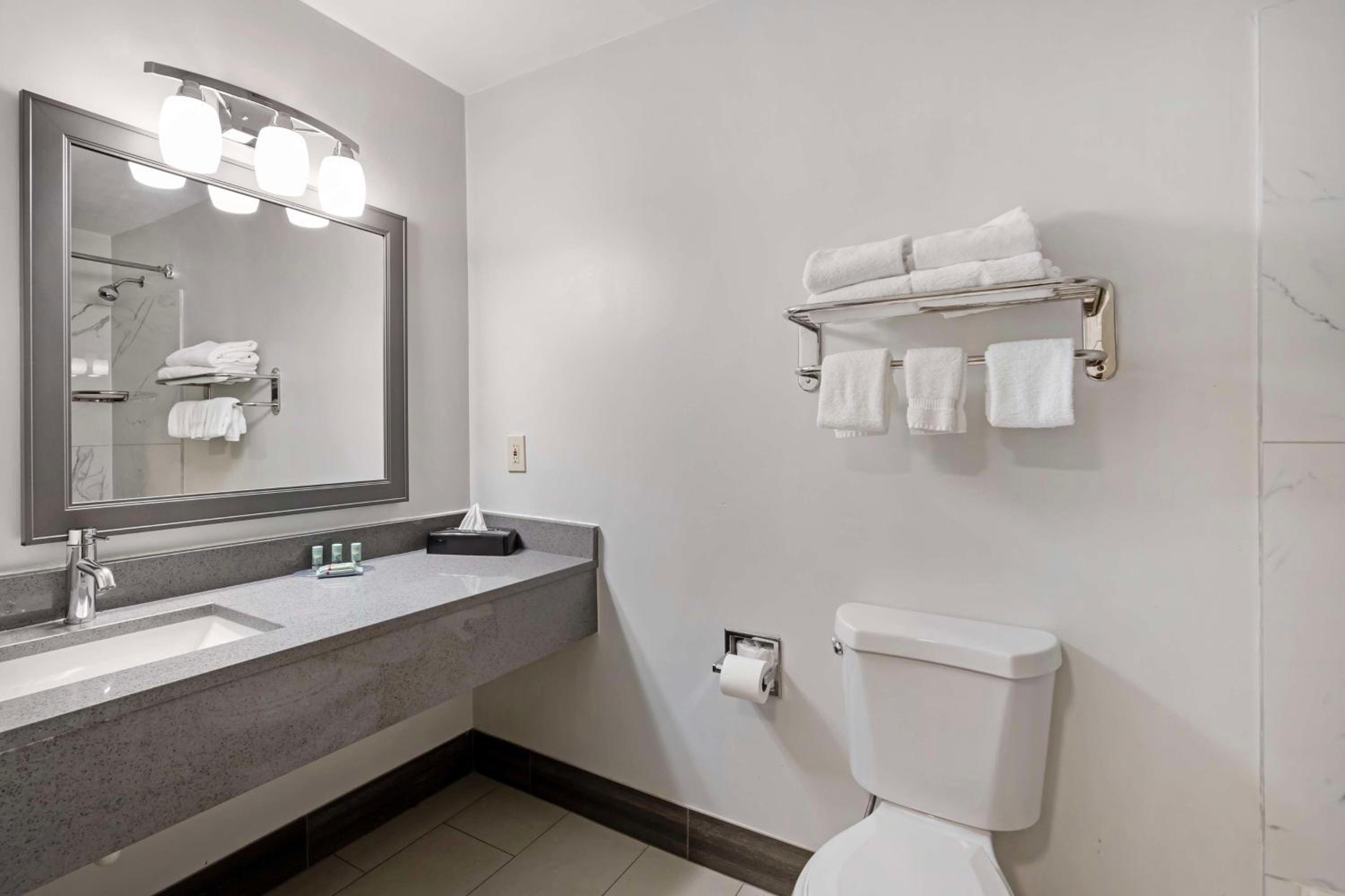 King Suite - Non Smoking - Photo 4