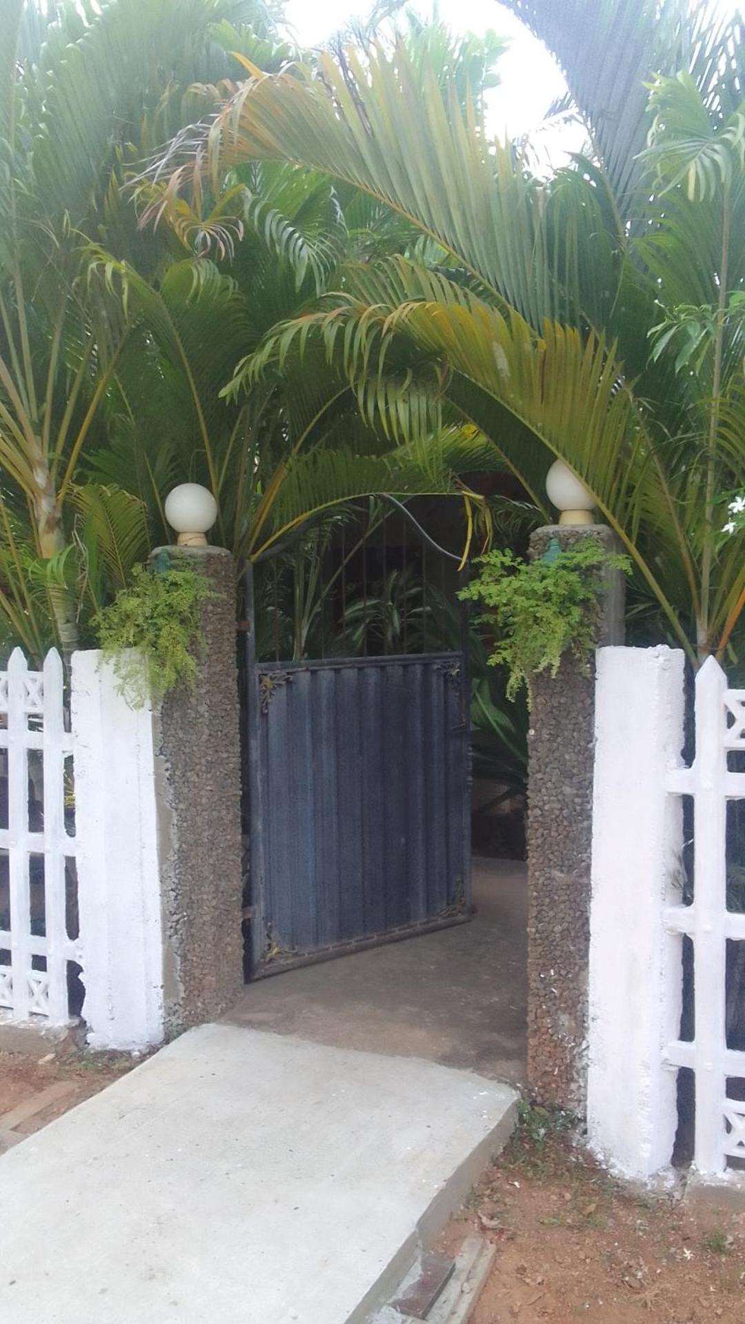 Superior Double or Twin Room with Terrace photo 2