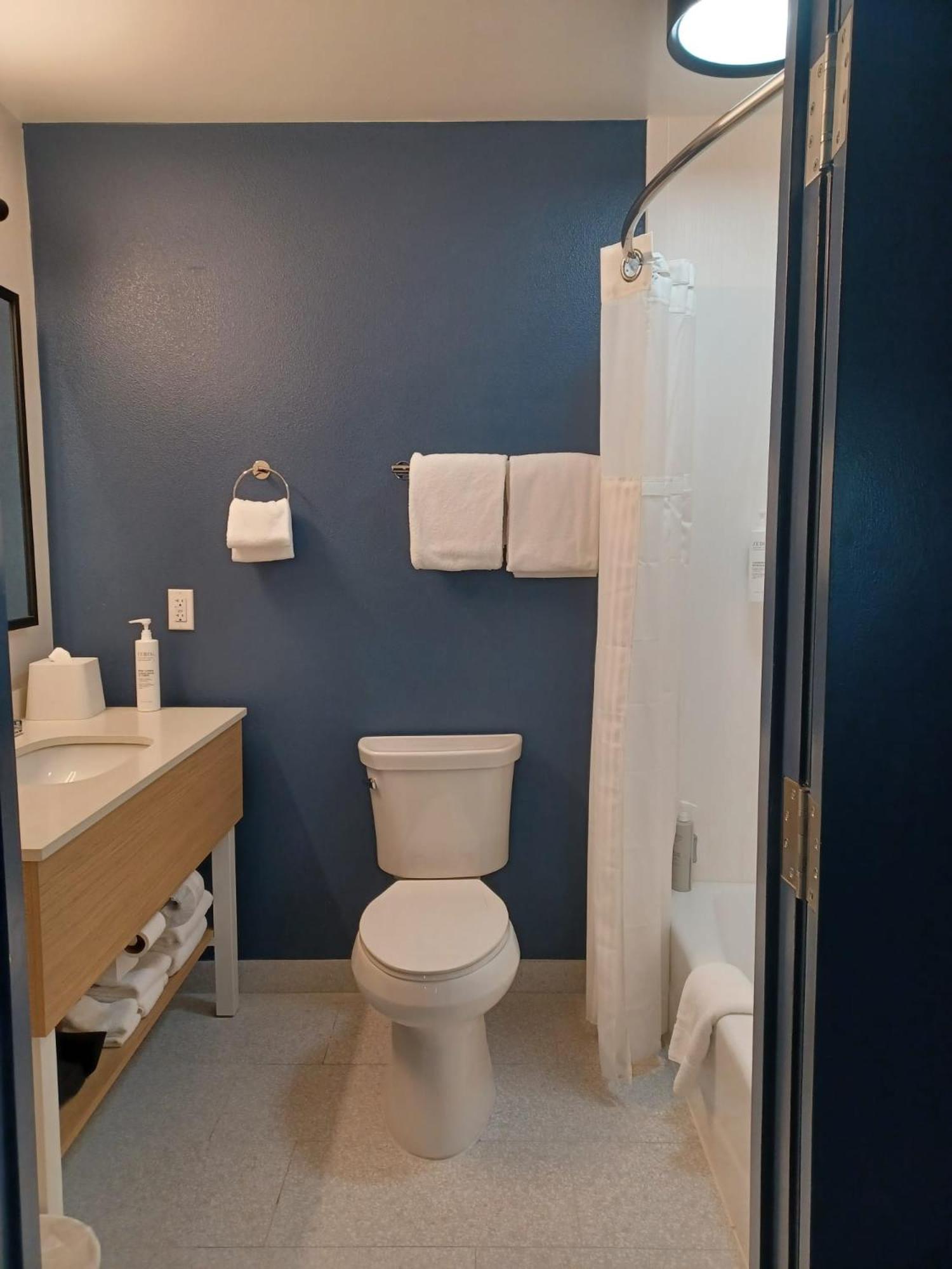 King Suite photo 3