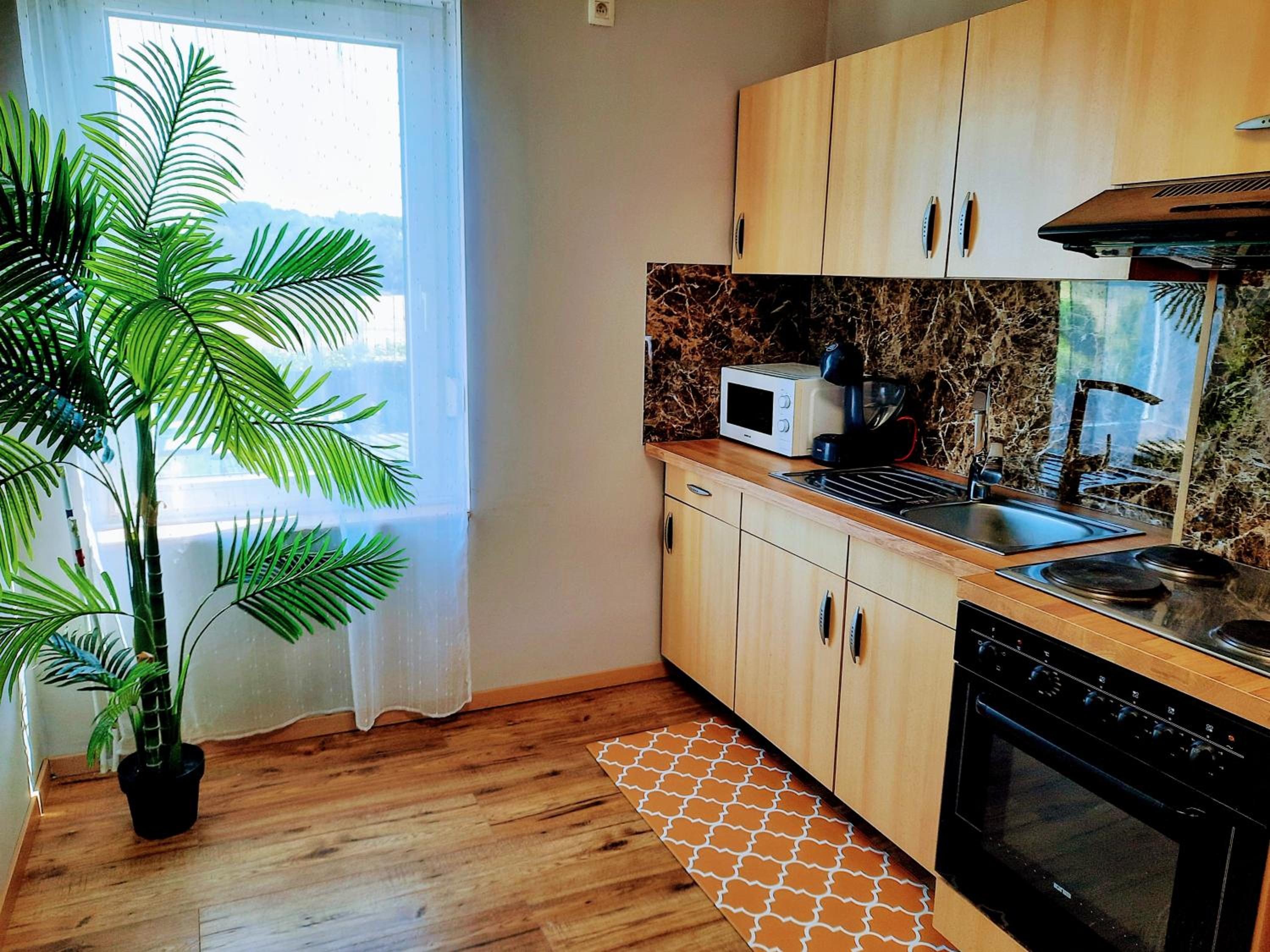 One-Bedroom Apartment photo 2