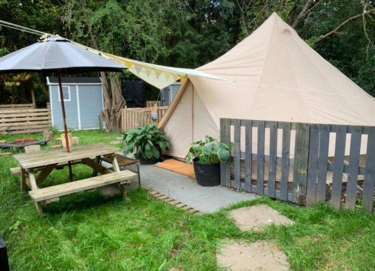 Tent photo 3