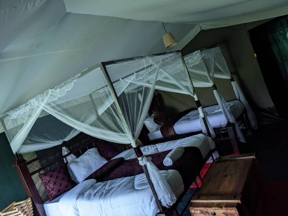 Twin Room With Balcony photo 3