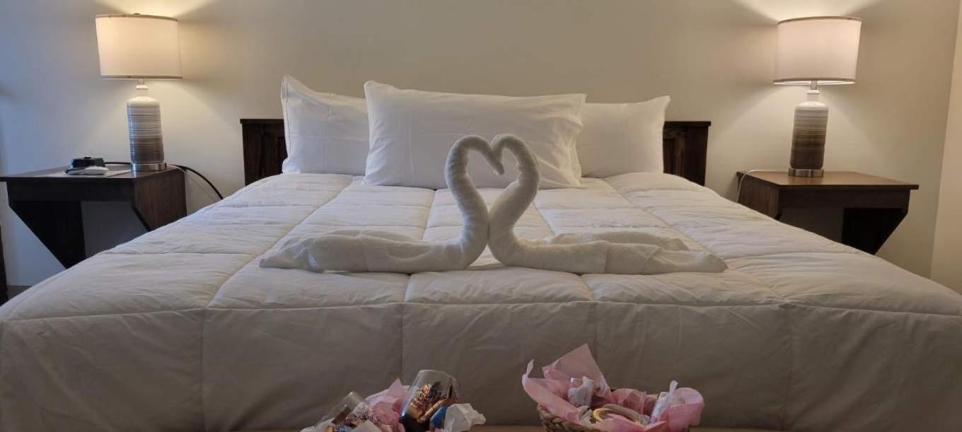 Suite photo 1