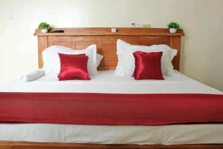 Superior Double Room photo 1