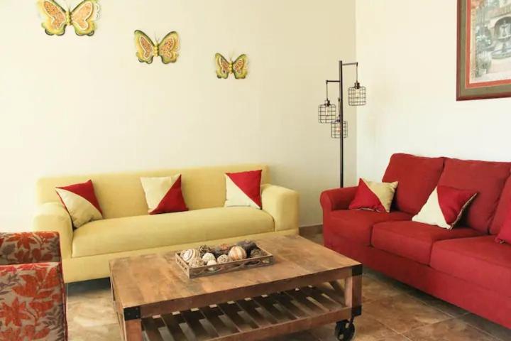 Studio Apartment photo 1