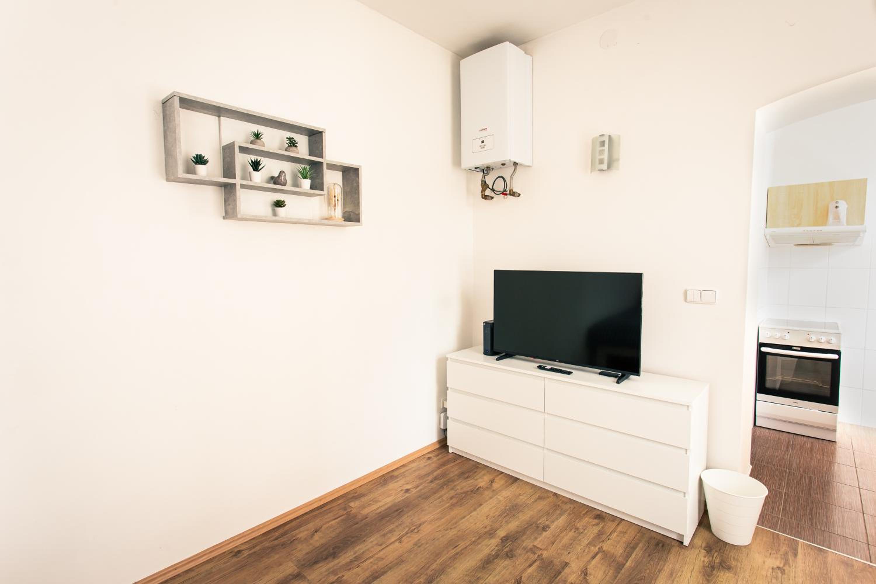 One-Bedroom Apartment photo 2