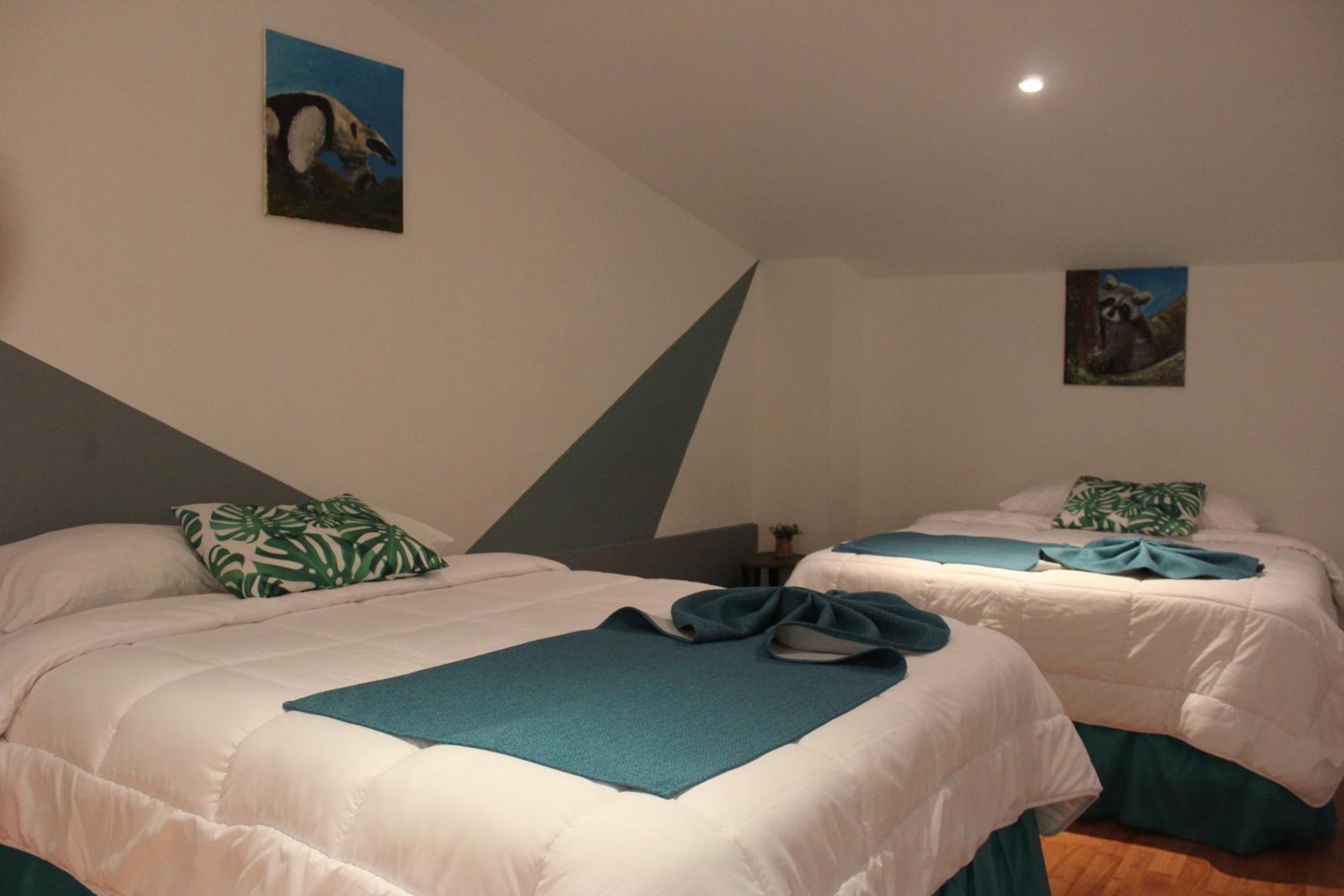 Superior Apartment photo 1