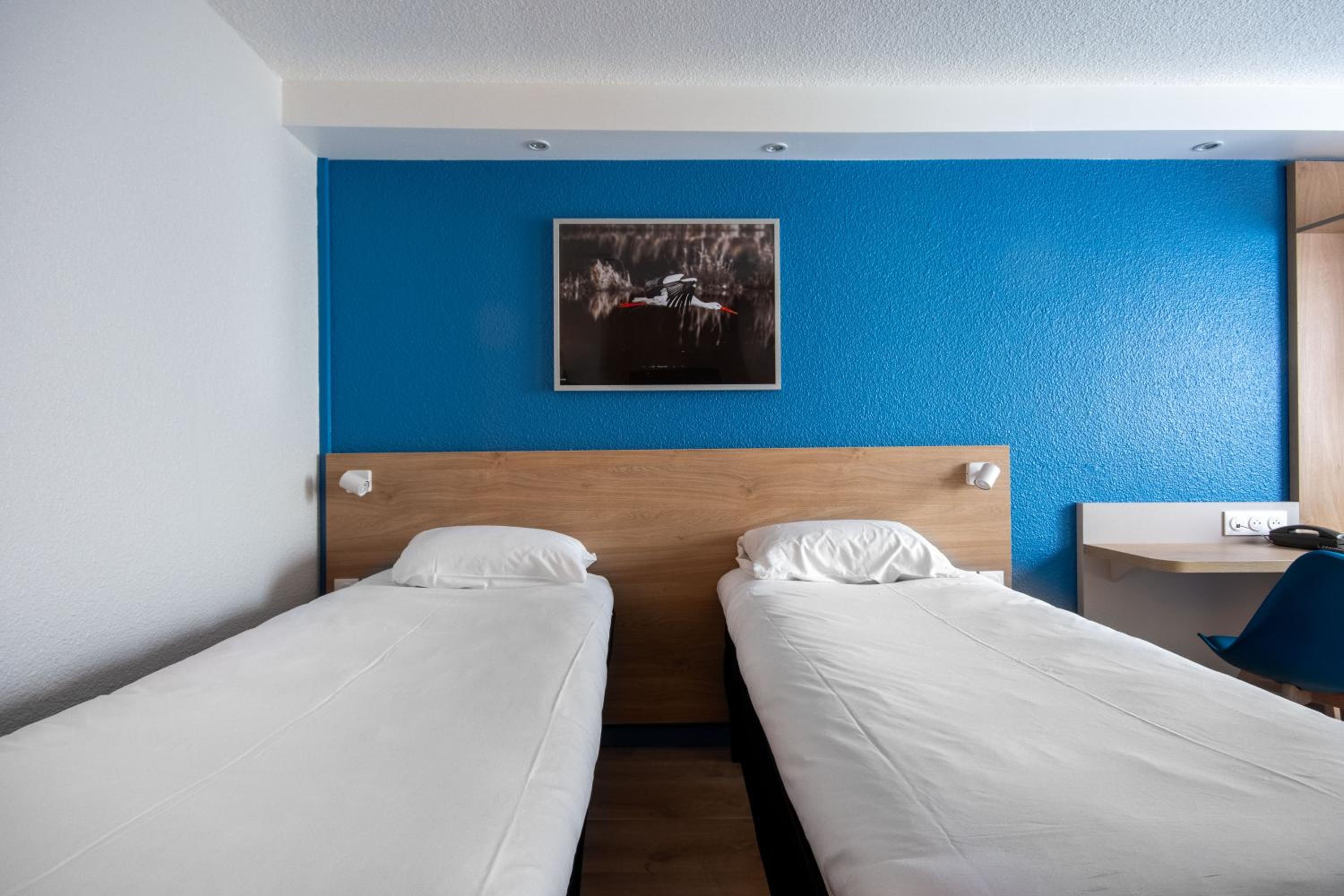 Standard Twin Room photo 1