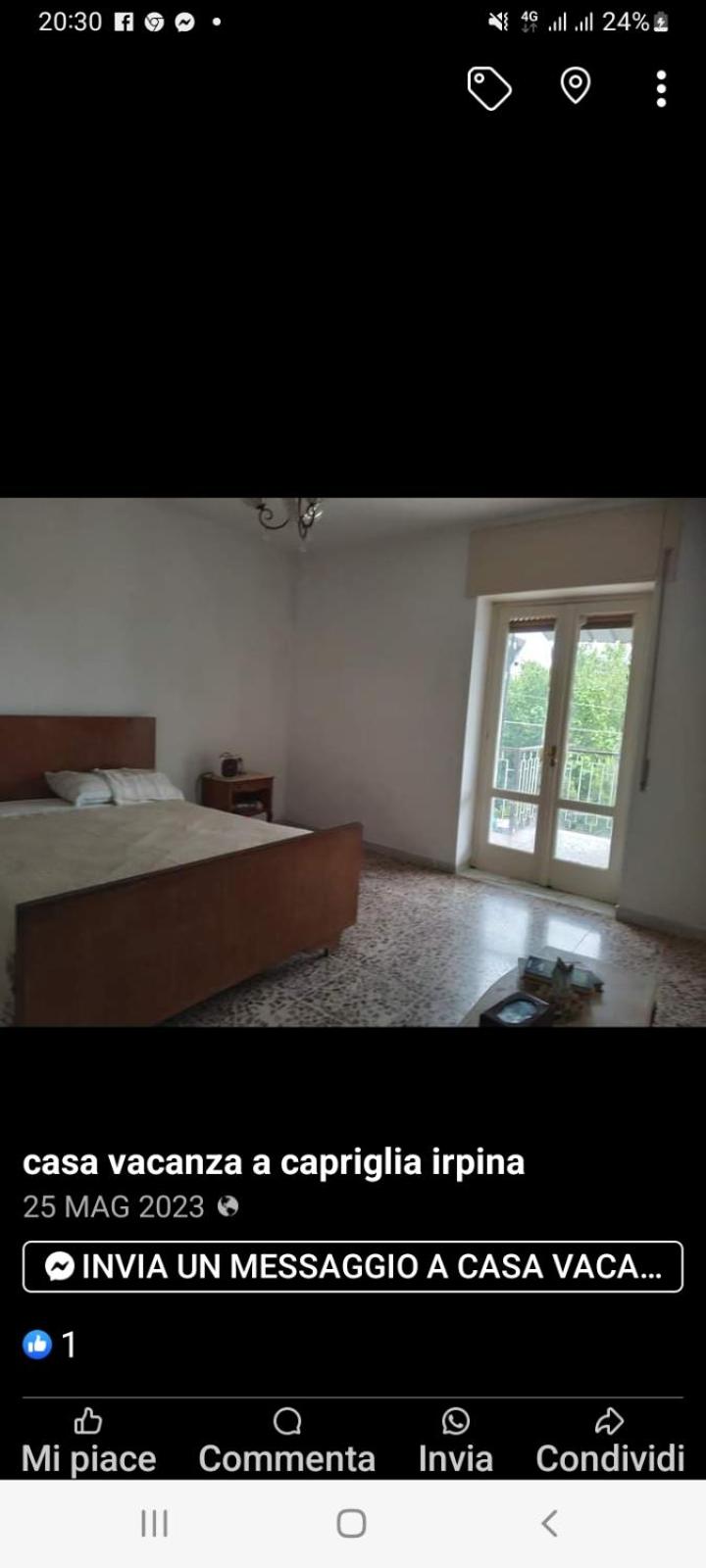 King Room photo 1