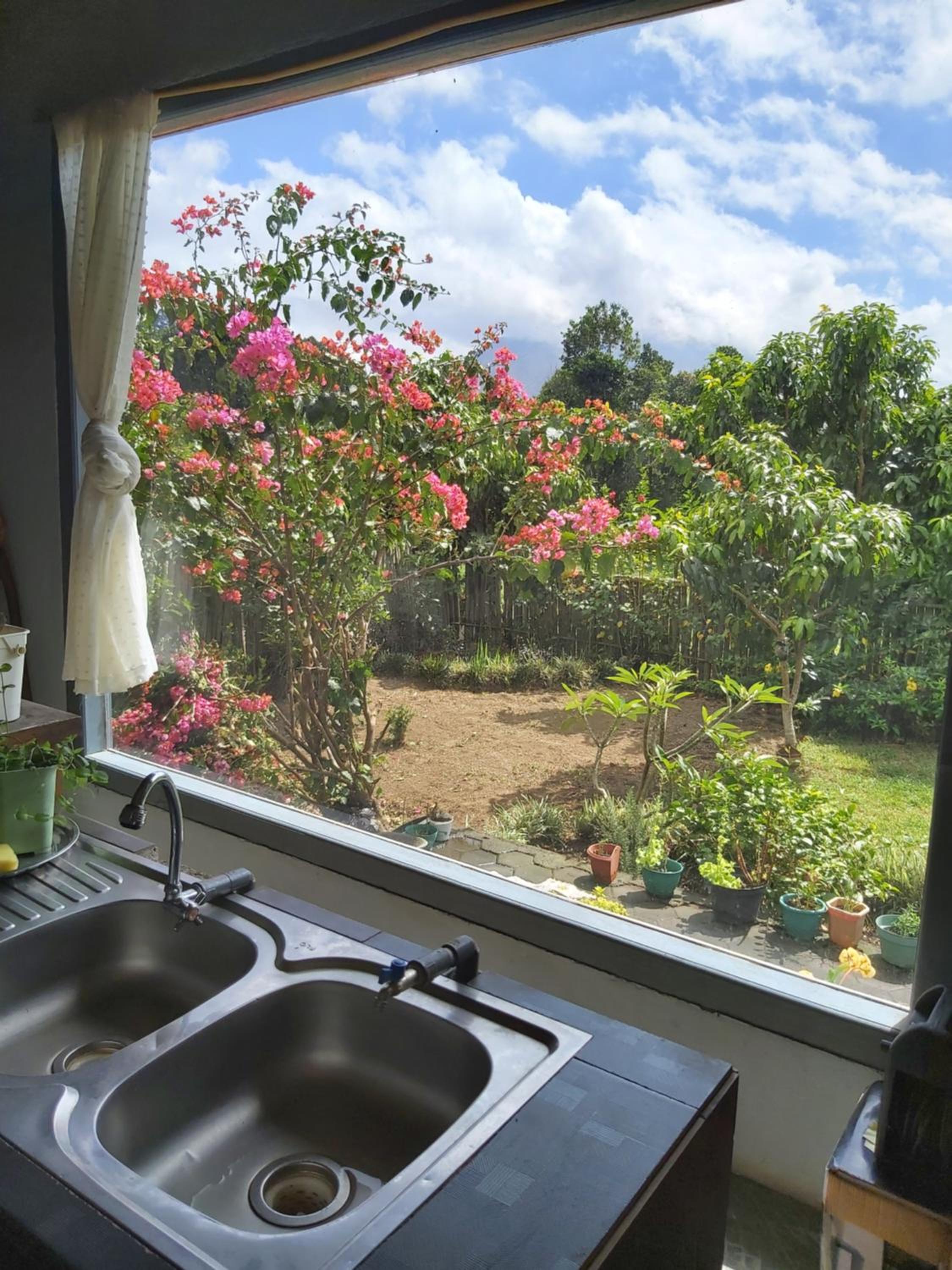 One-Bedroom Villa photo 2