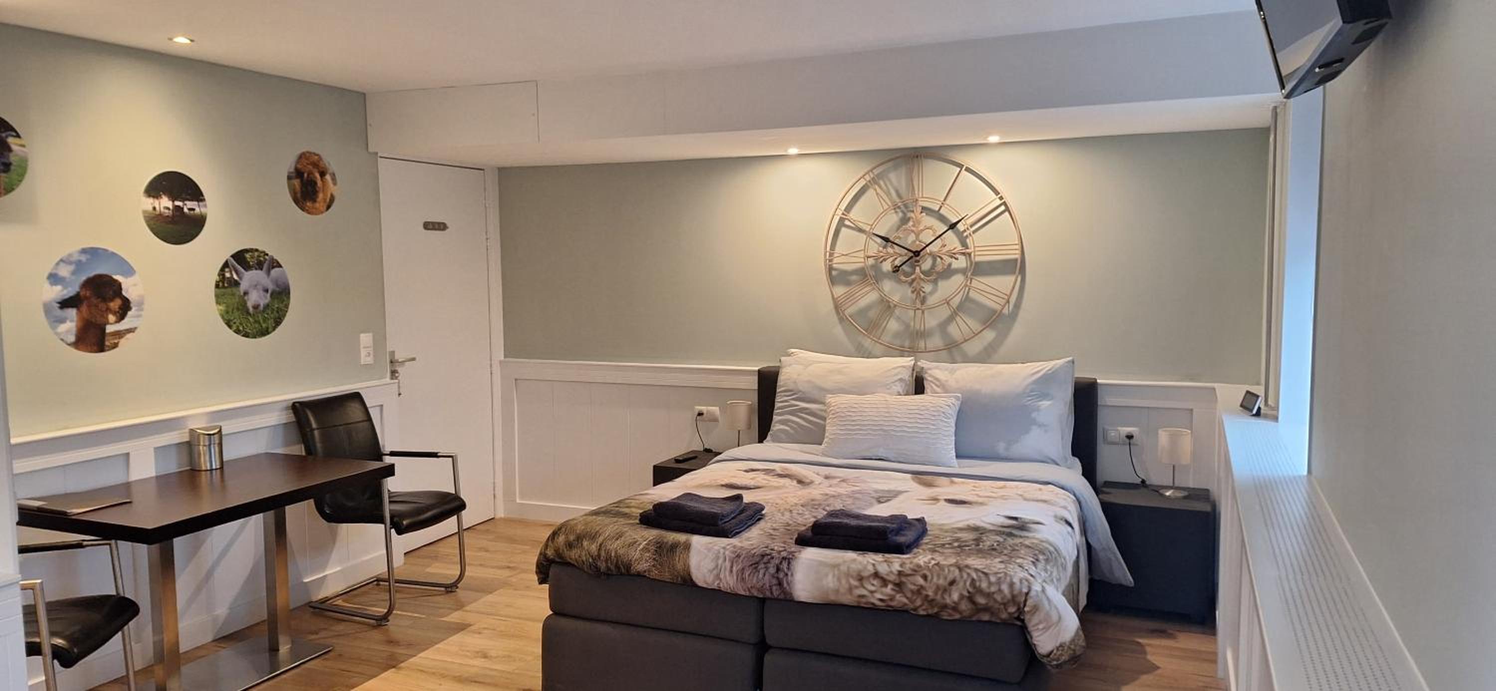Deluxe Double Room with Shower - Photo 8