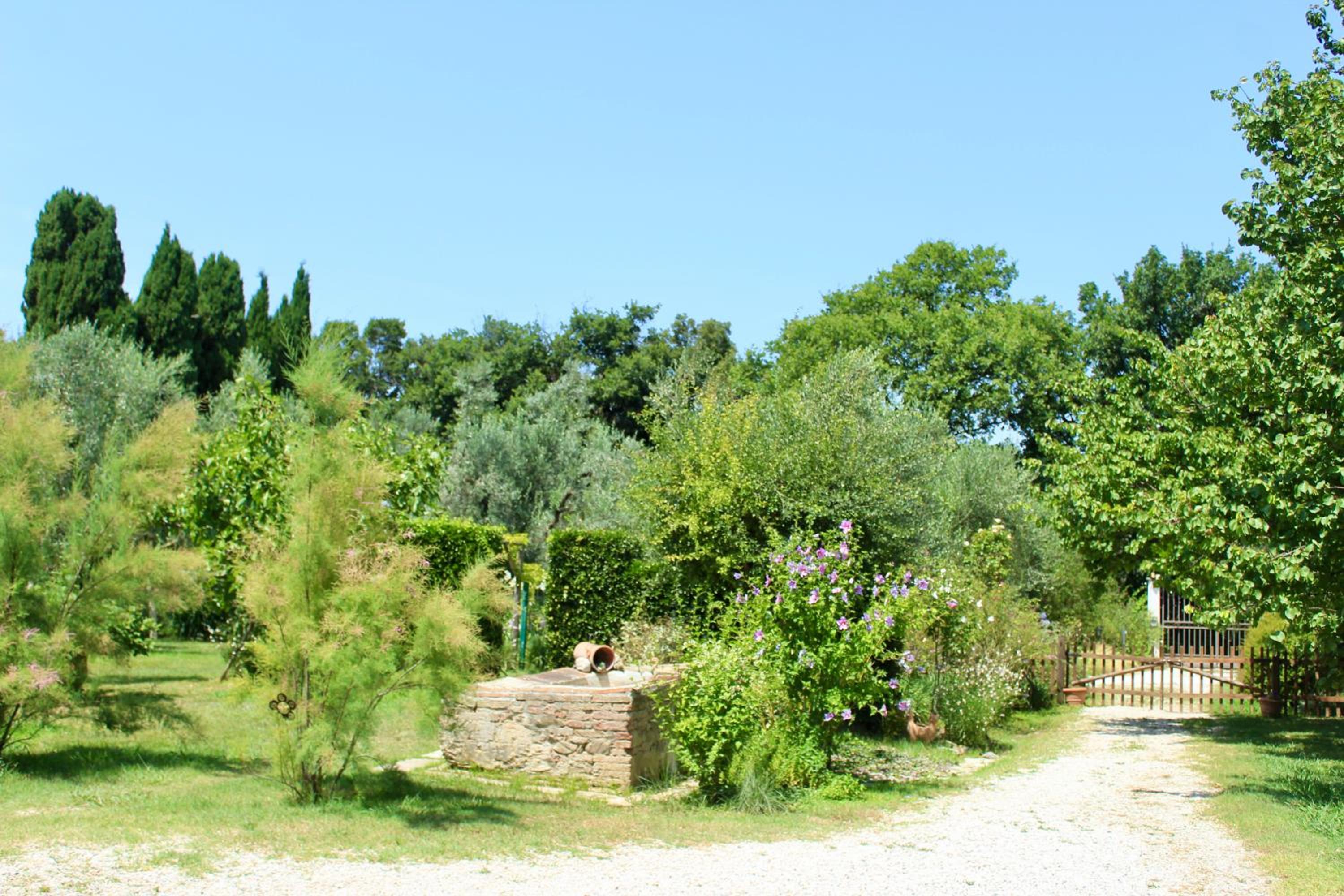 Apartment with Garden View photo 2