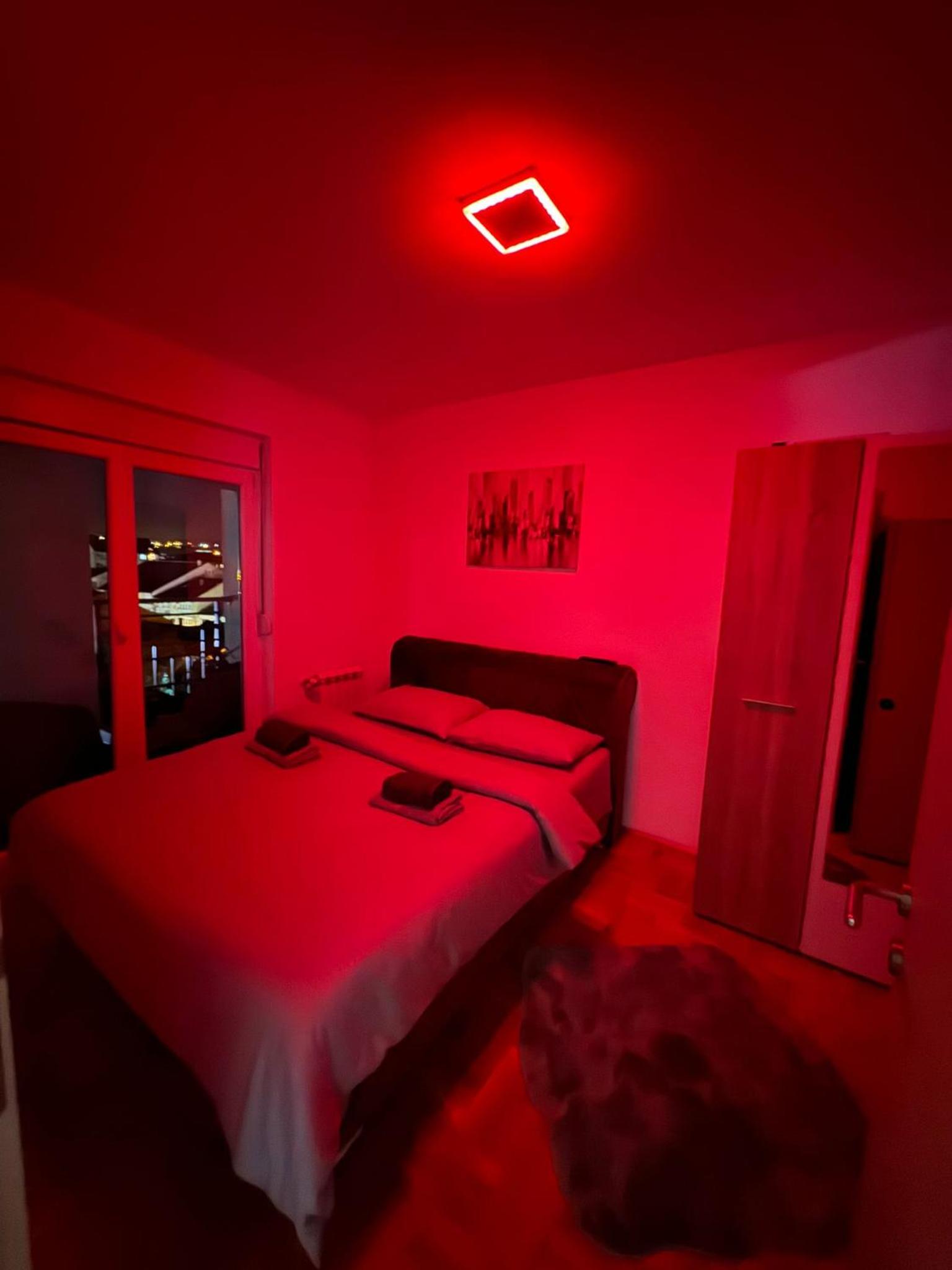 One-Bedroom Apartment photo 3