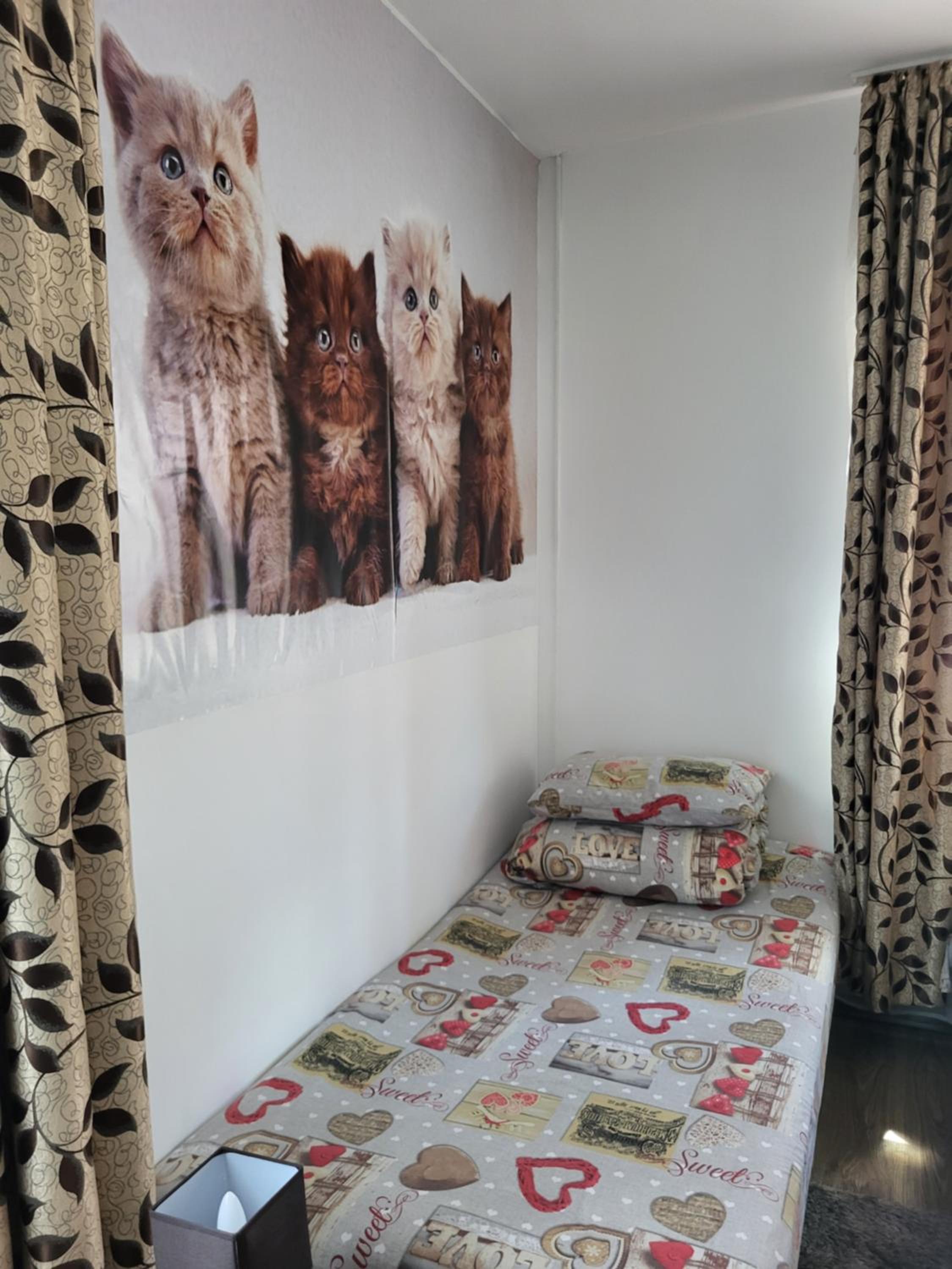 Family Room photo 1