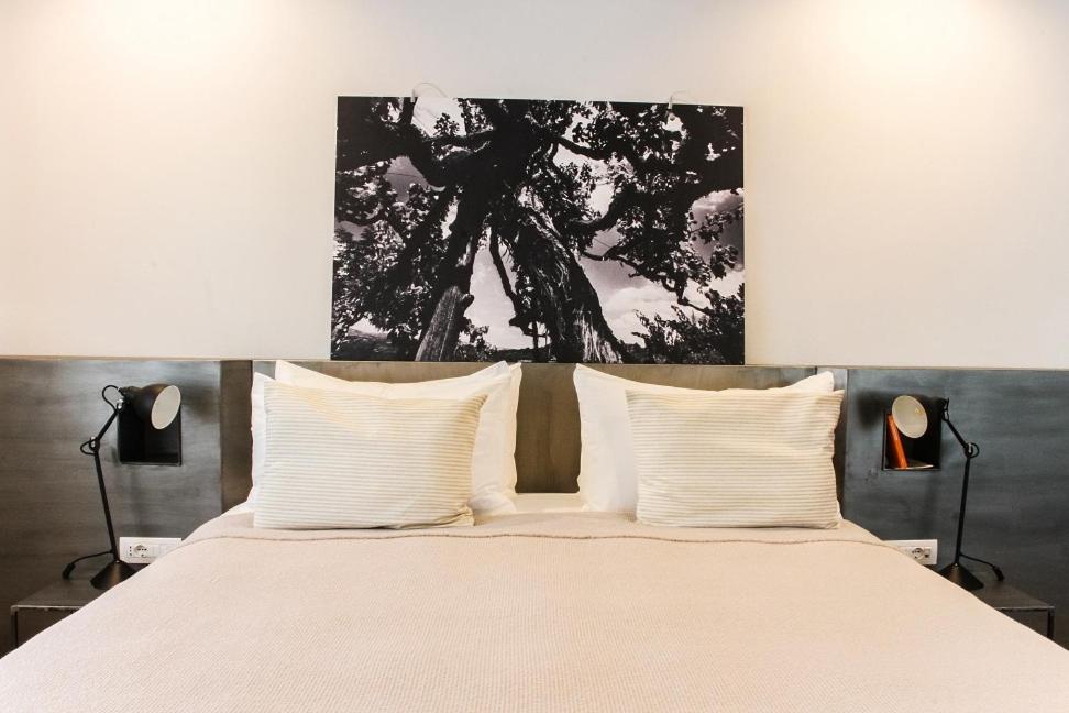 Family Suite - Photo 3