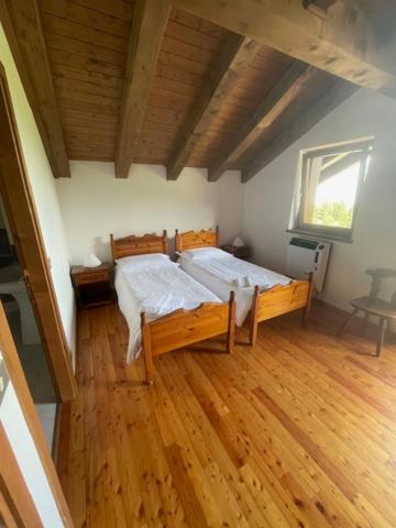 Twin Room photo 1