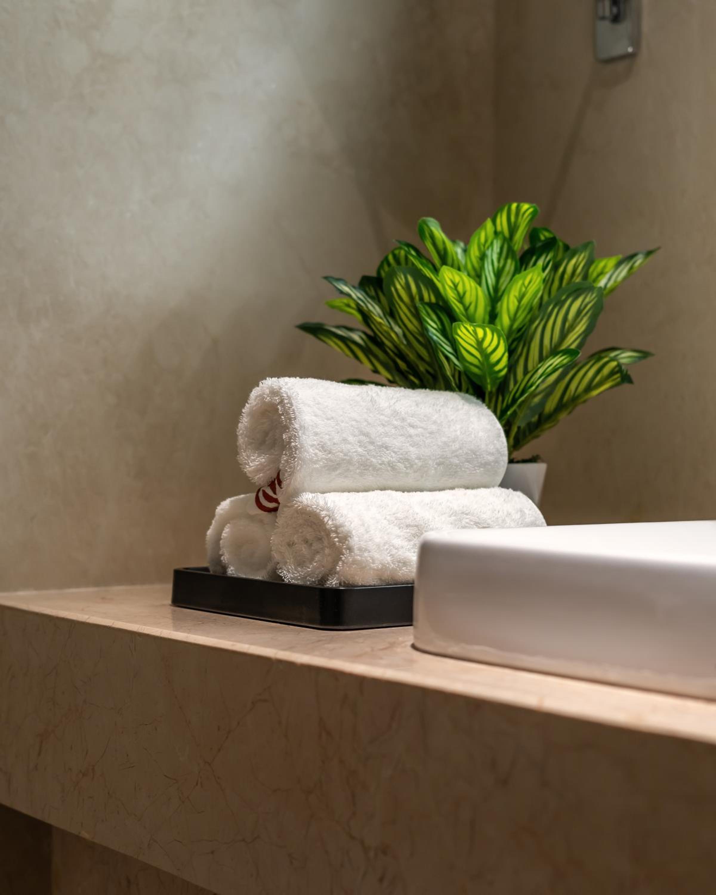 Suite - Photo 23