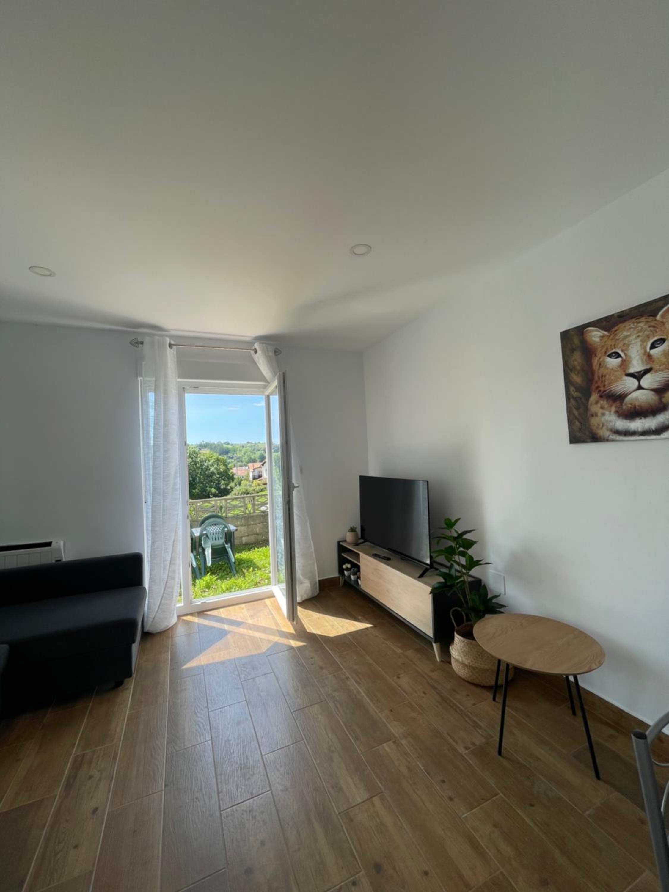 One-Bedroom Apartment photo 2