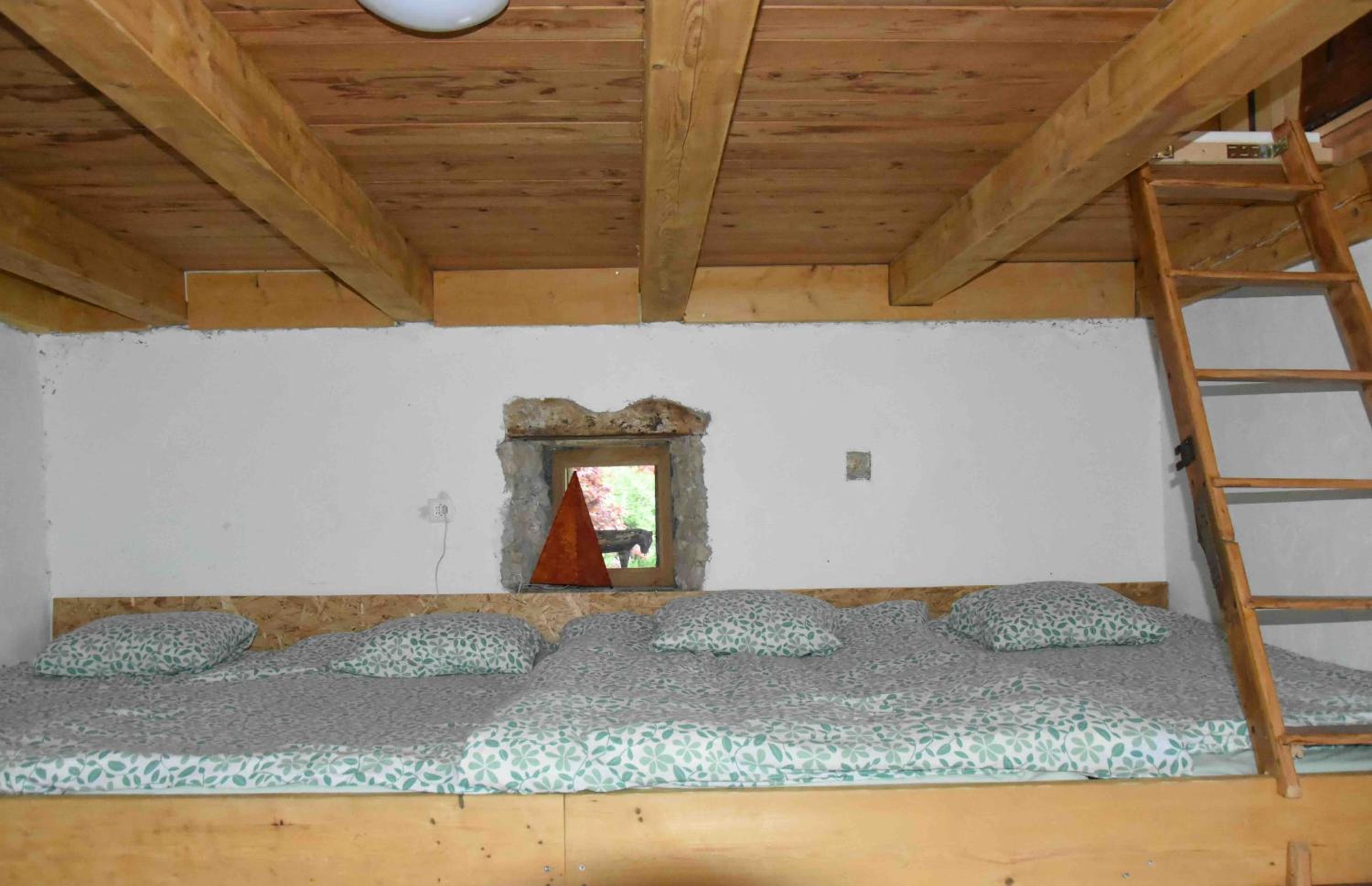 Family Bungalow photo 1