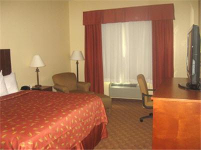 1 King Bed Accessible Non Smoking - Photo 4