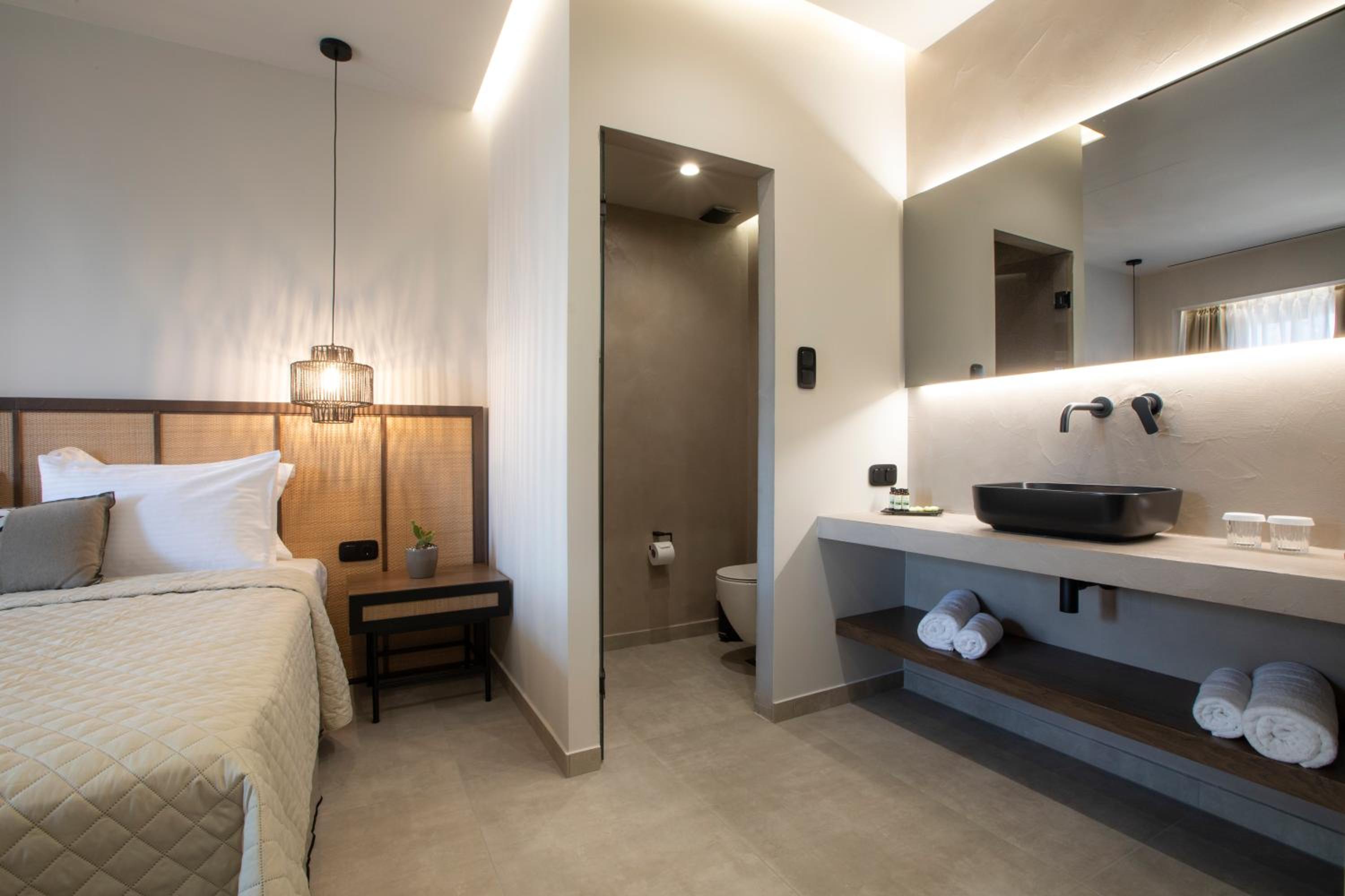Deluxe Double or Twin Room photo 3
