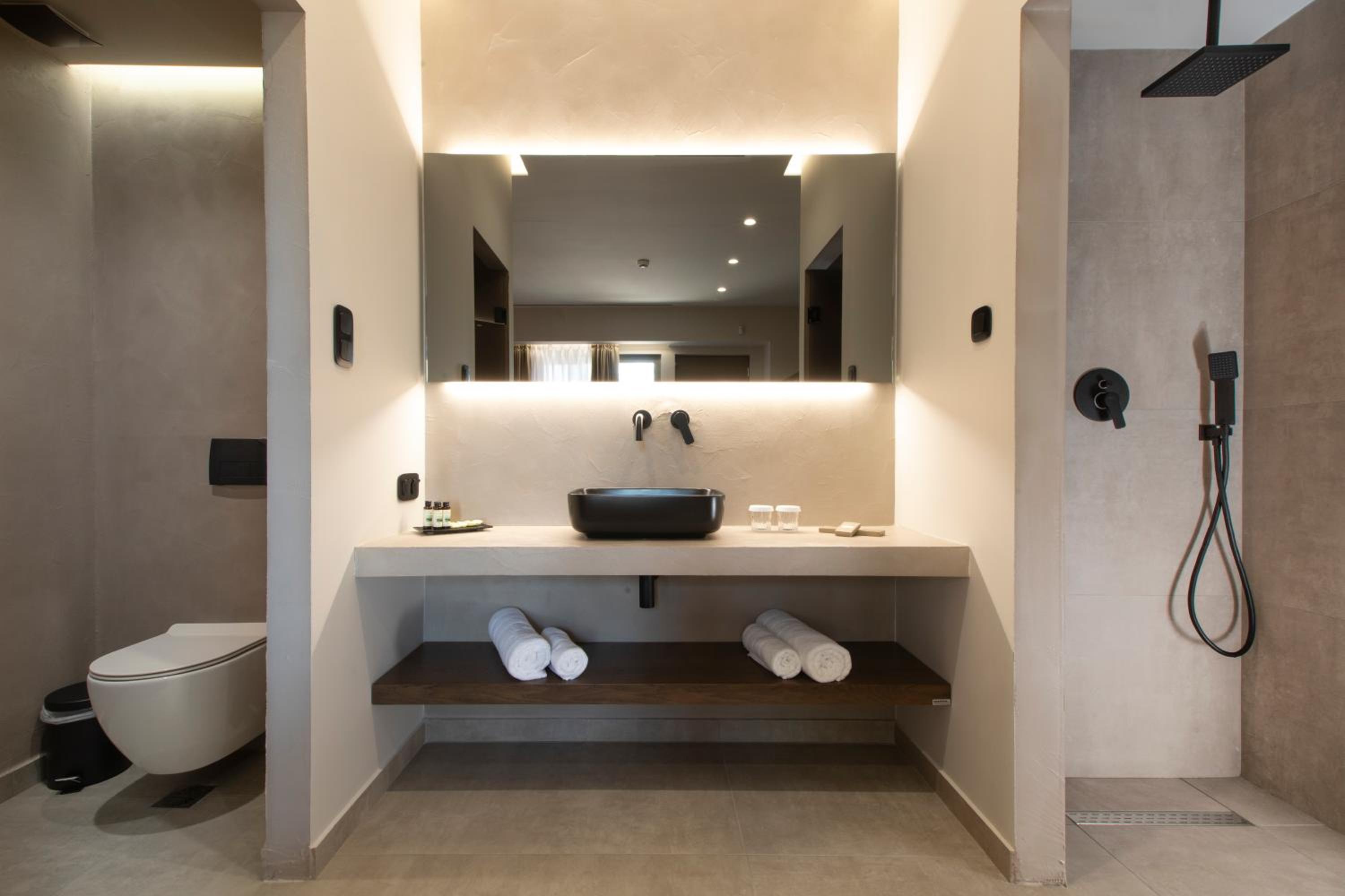 Deluxe Double or Twin Room photo 2