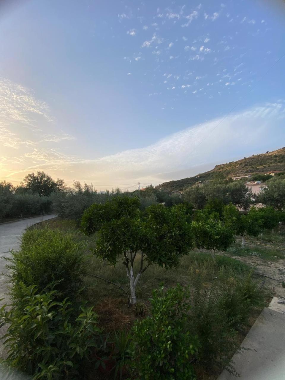 Villa with Garden View photo 2