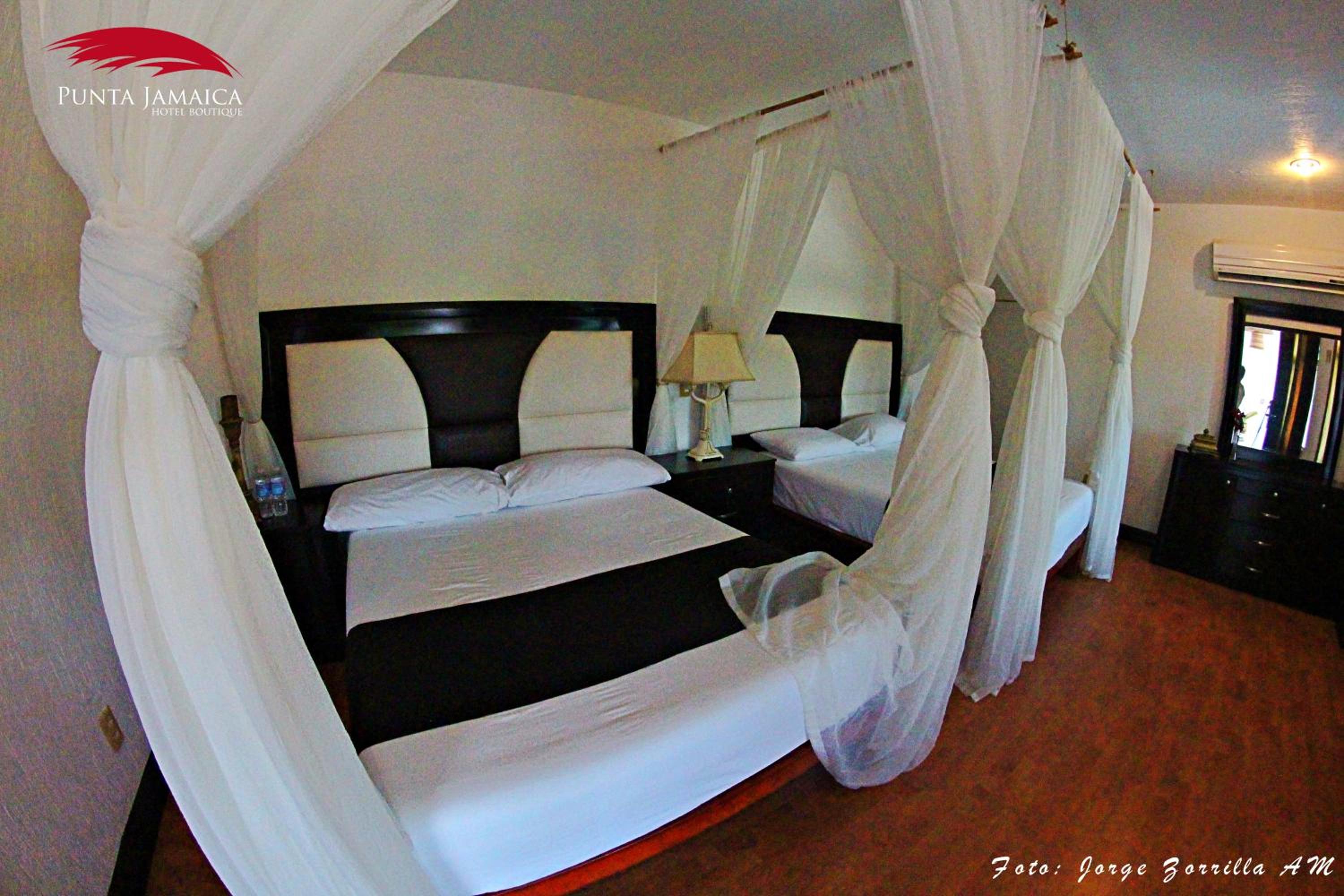 Superior Quadruple Room - Photo 1
