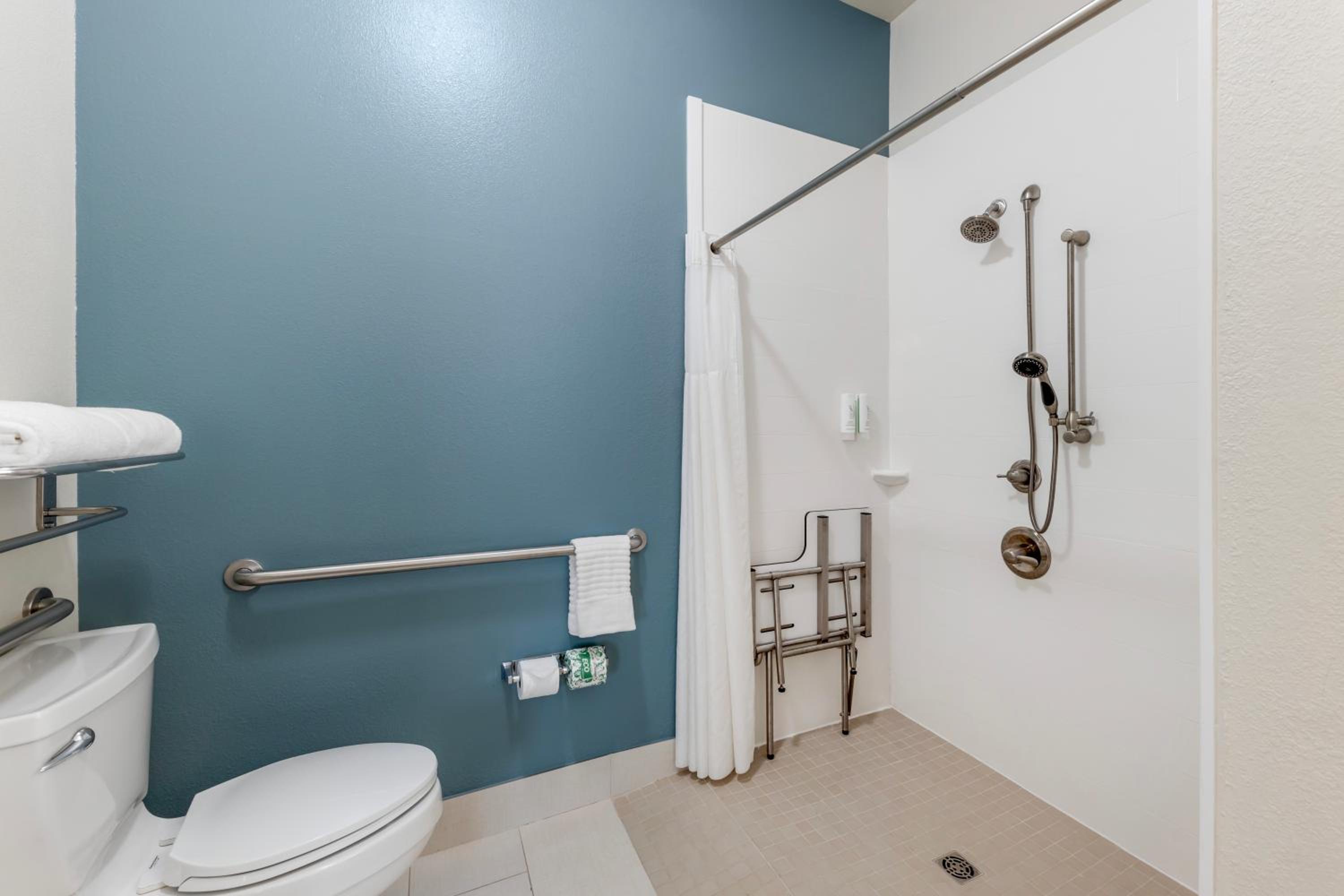 King Room with Roll-In Shower - Accessible/Non-Smoking - Photo 2