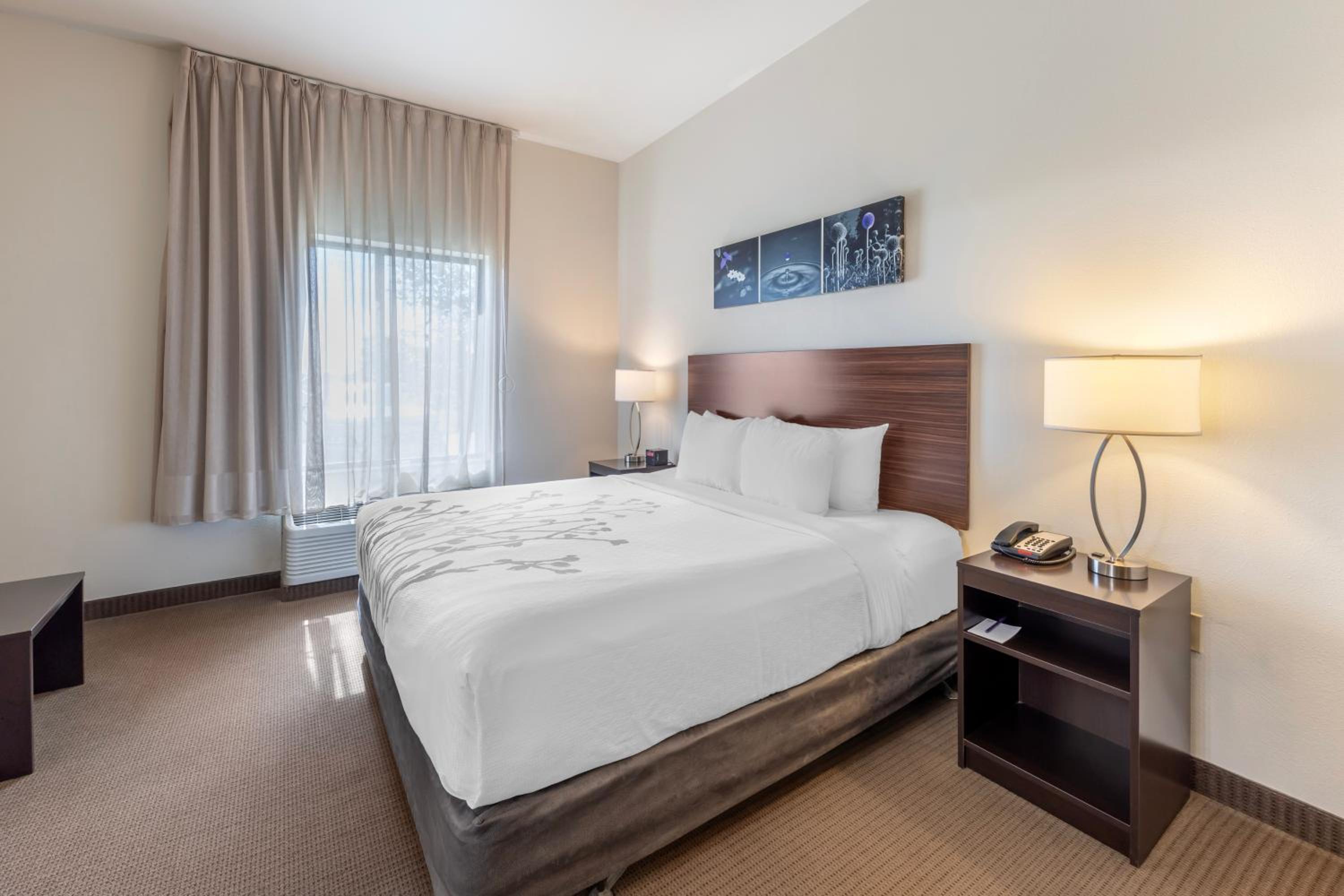 King Room with Roll-In Shower - Accessible/Non-Smoking - Photo 1