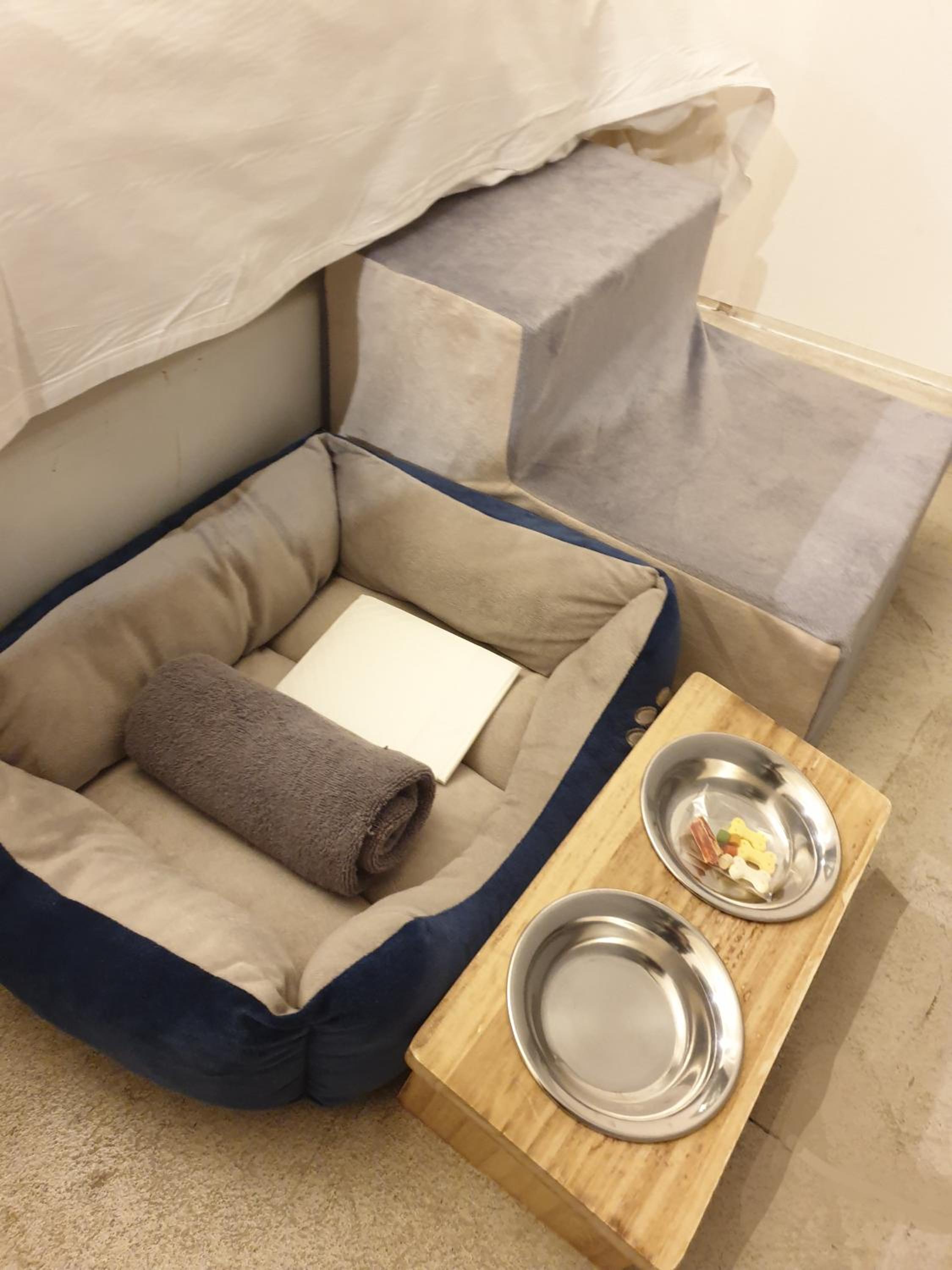 Dog-friendly room A
