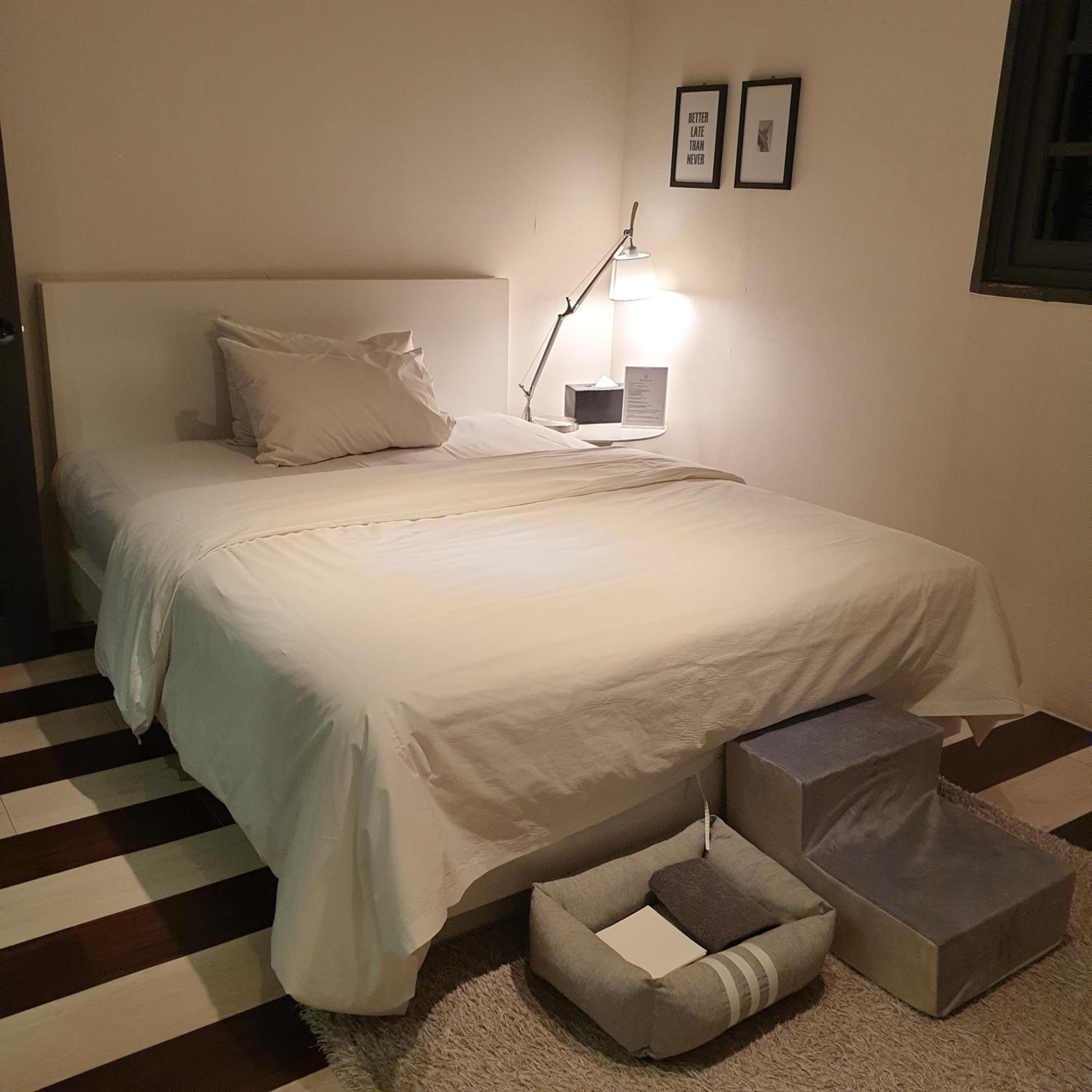Dog friendly room B