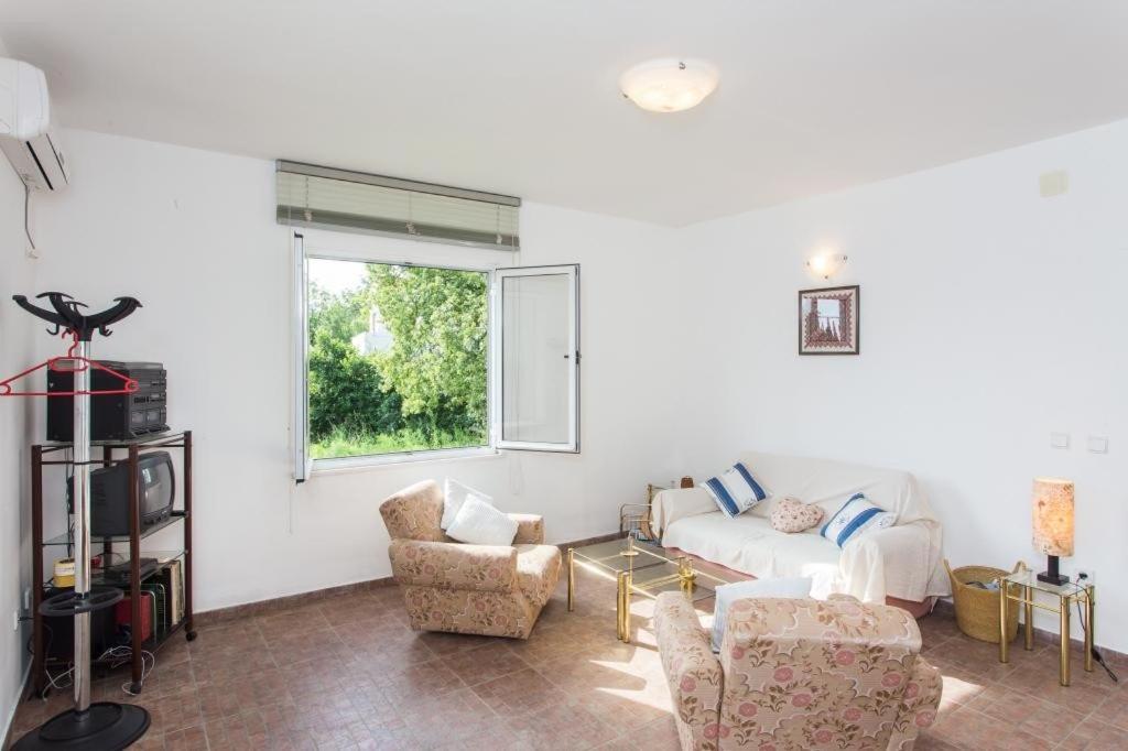 One-Bedroom Apartment With Terrace And Garden View