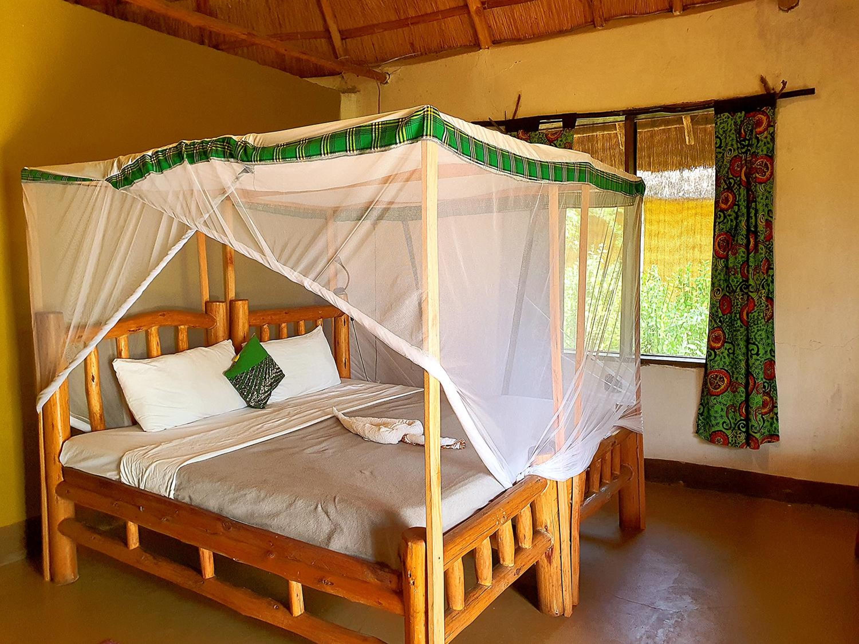 Double or Twin Room photo 1