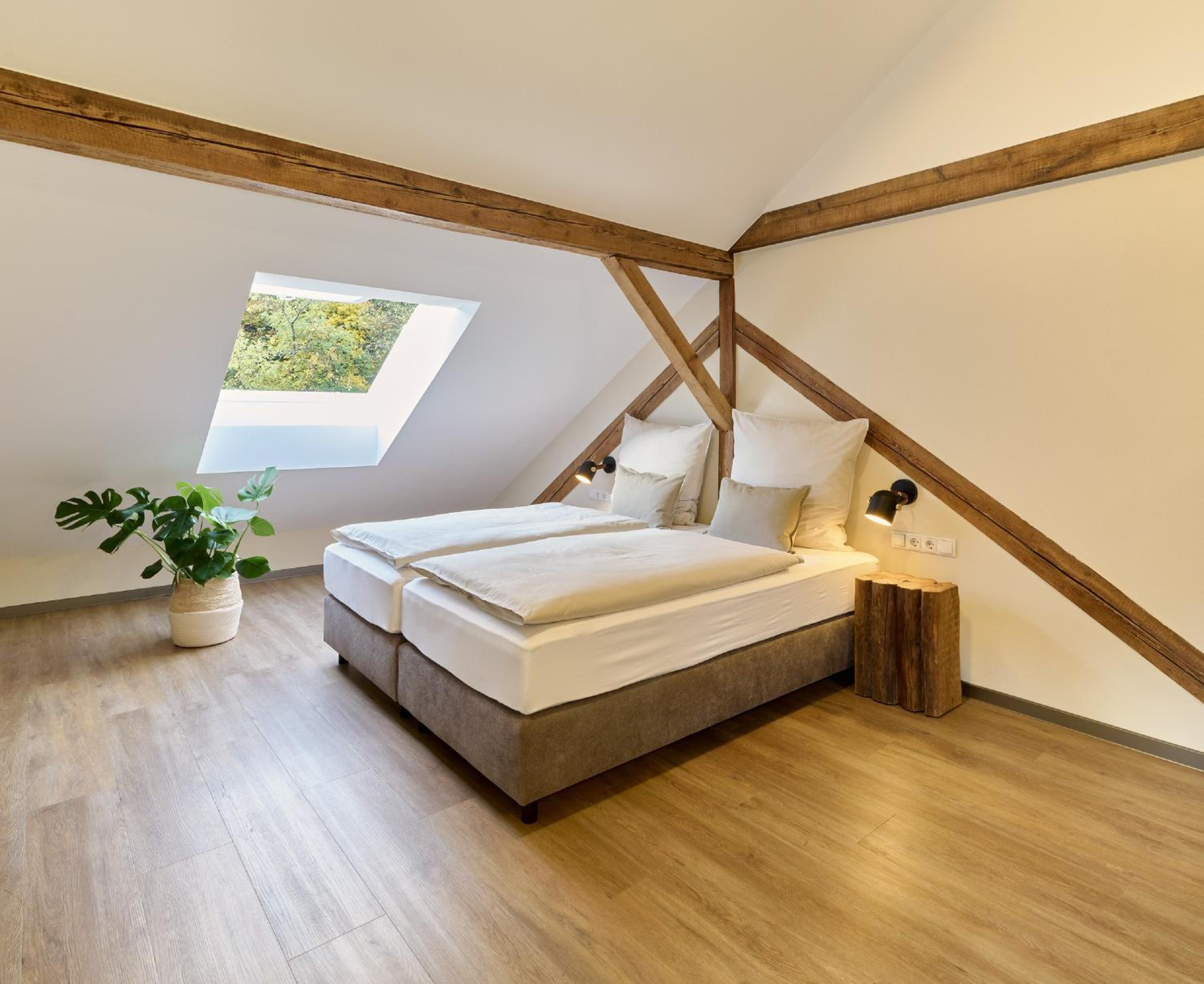 Deluxe Double or Twin Room photo 2