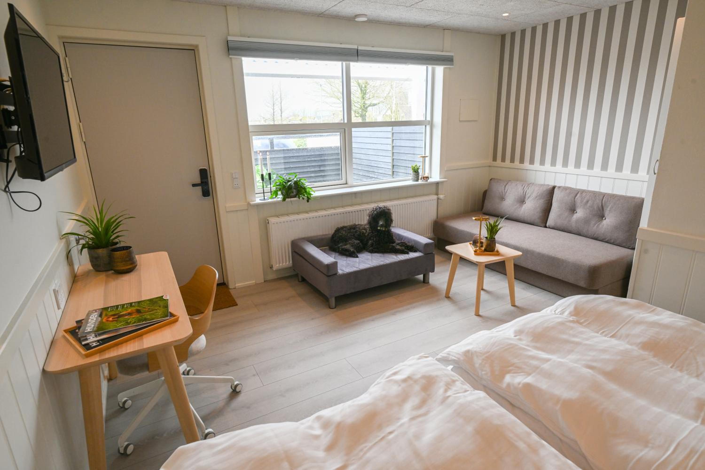 Double Room with Terrace - Photo 3