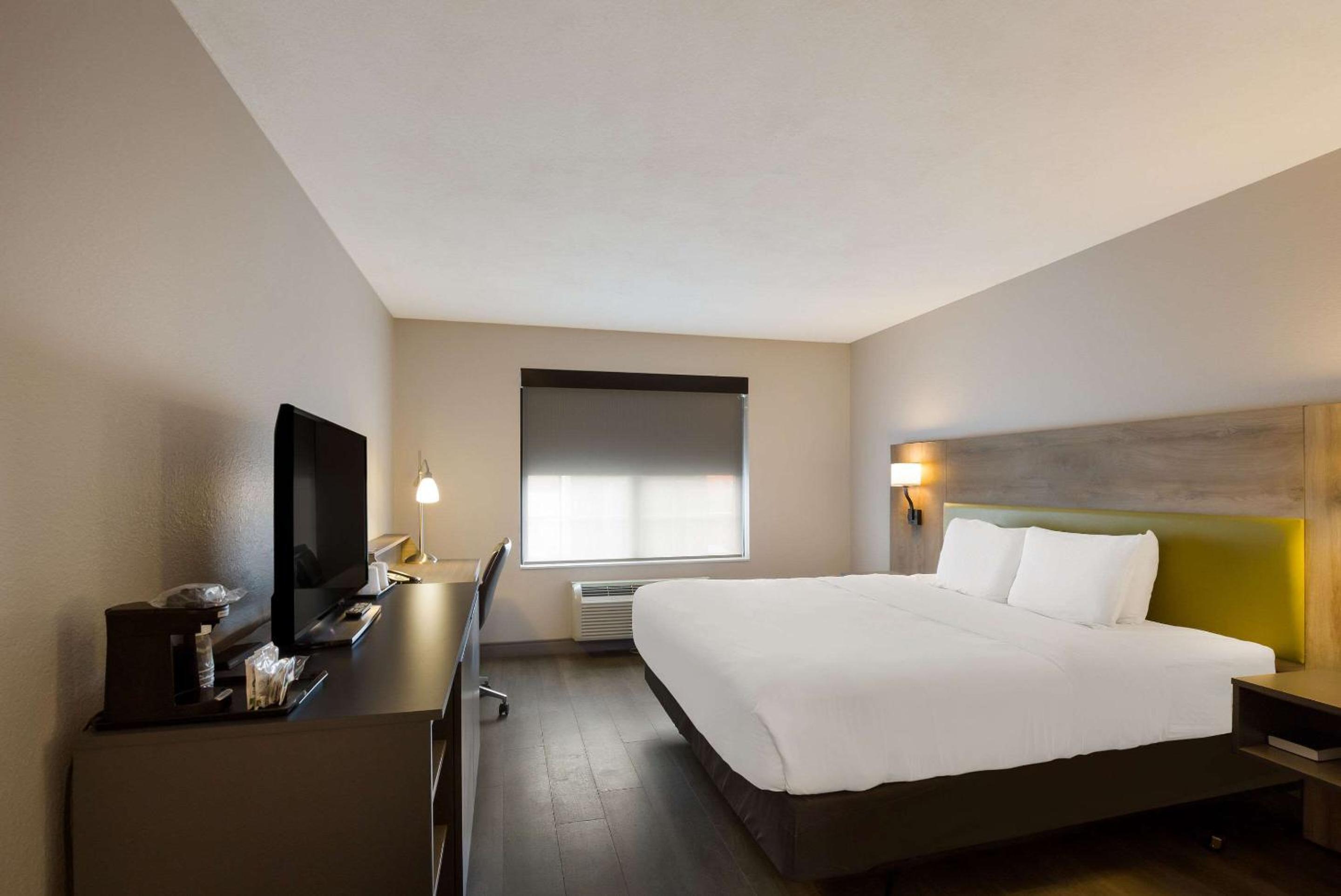 King Room - Photo 1