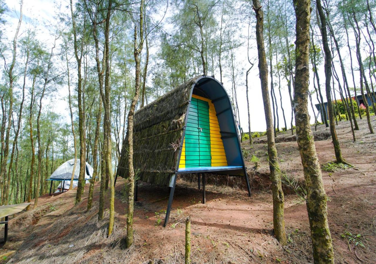 Tent photo 1
