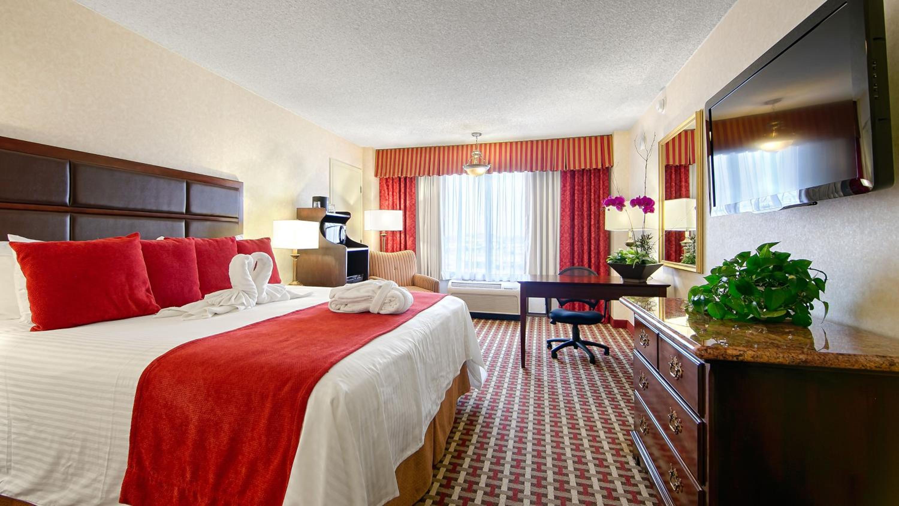 Queen Suite - Non-Smoking - Photo 4