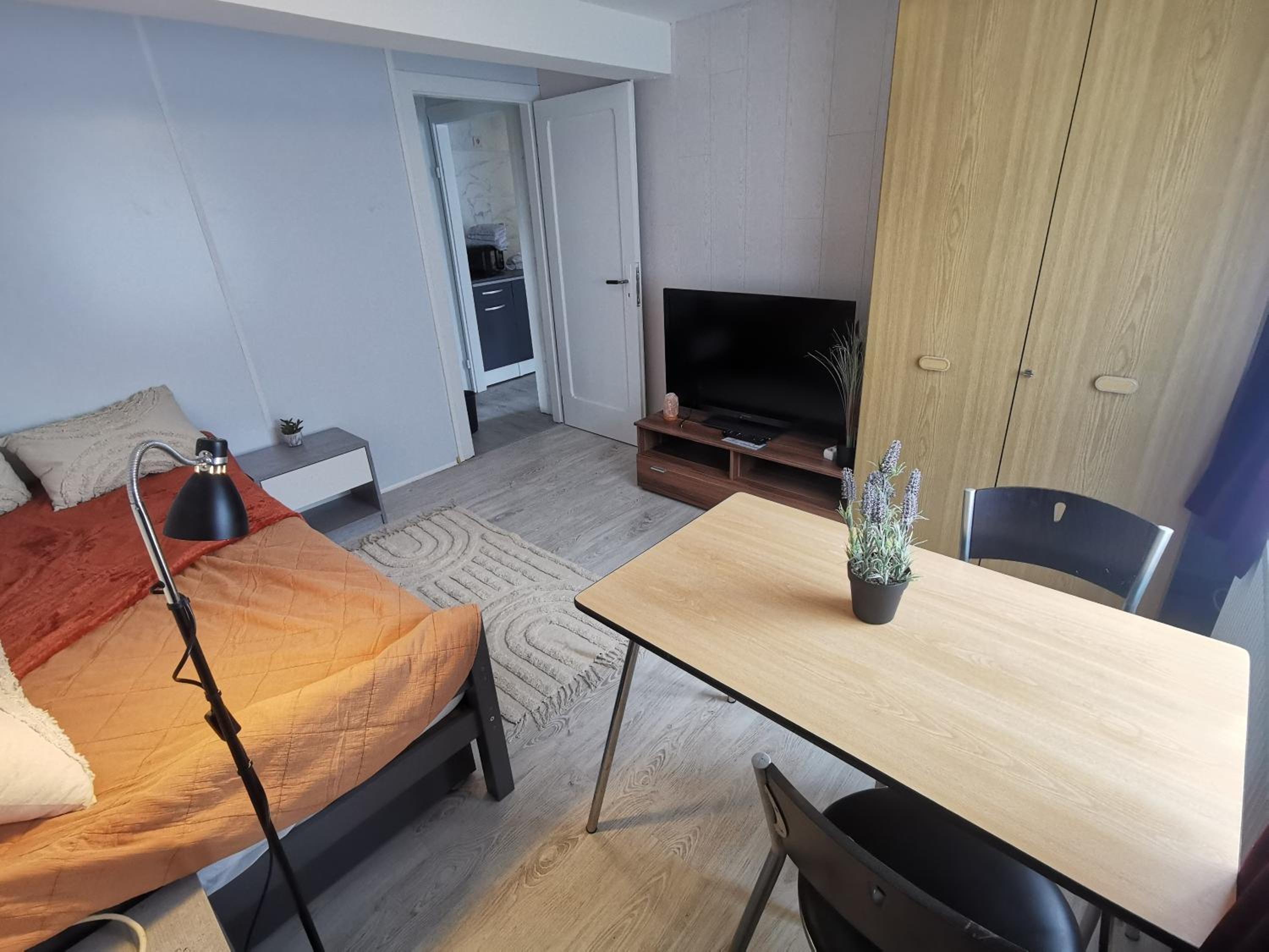 One-Bedroom Apartment - Photo 1