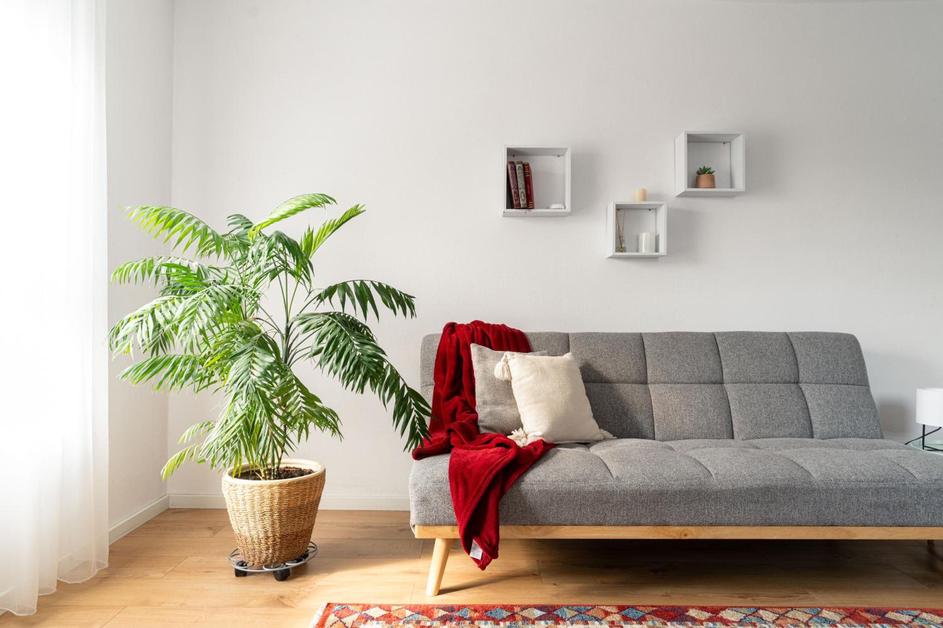 Apartment photo 2