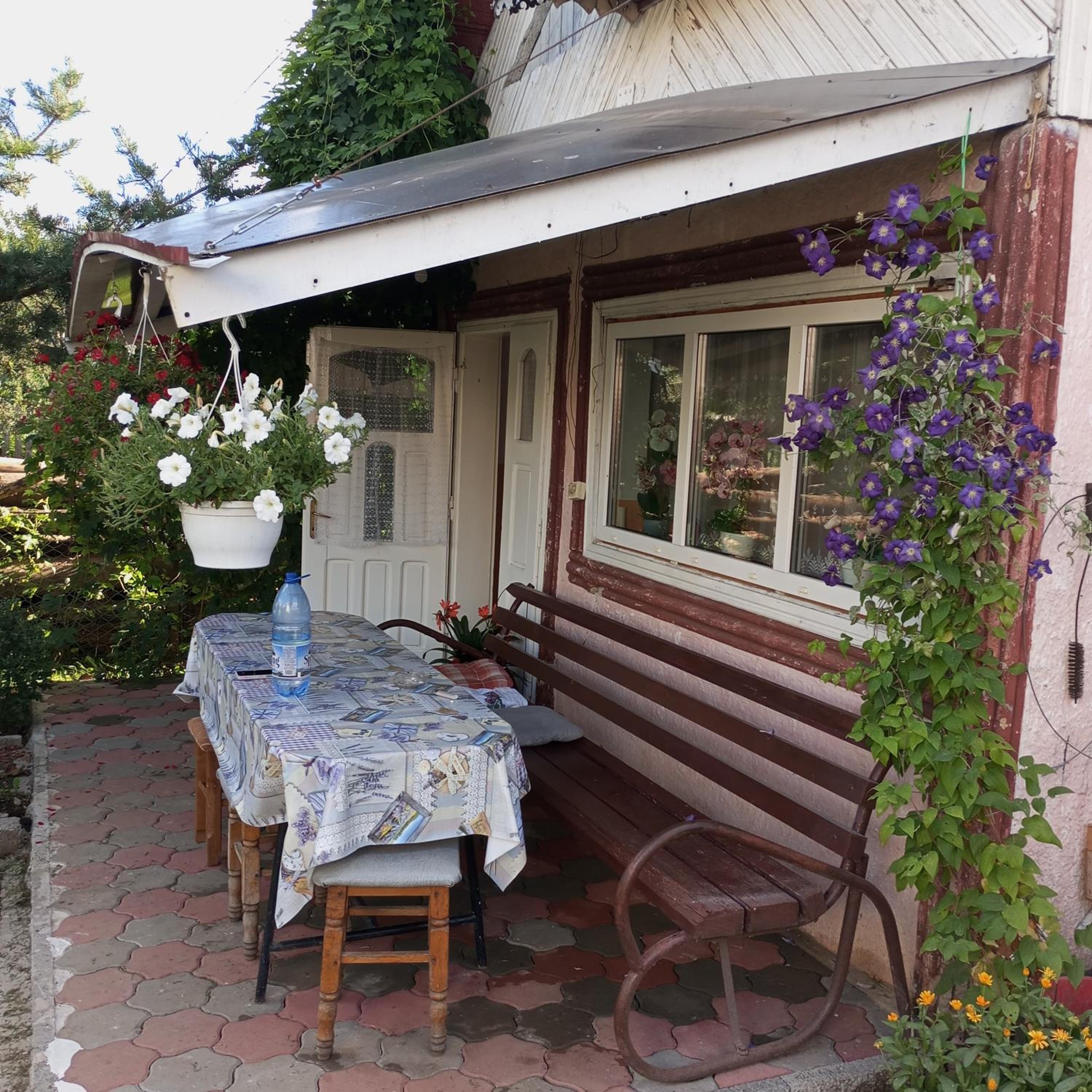 One-Bedroom House photo 1