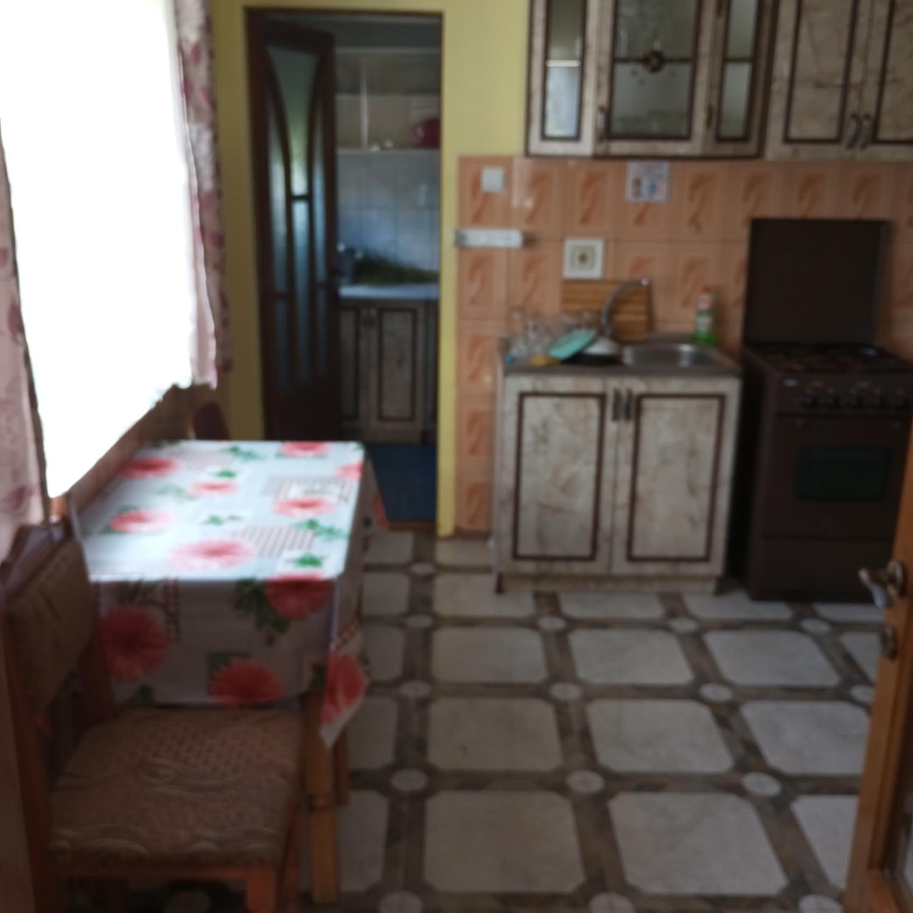One-Bedroom House photo 3