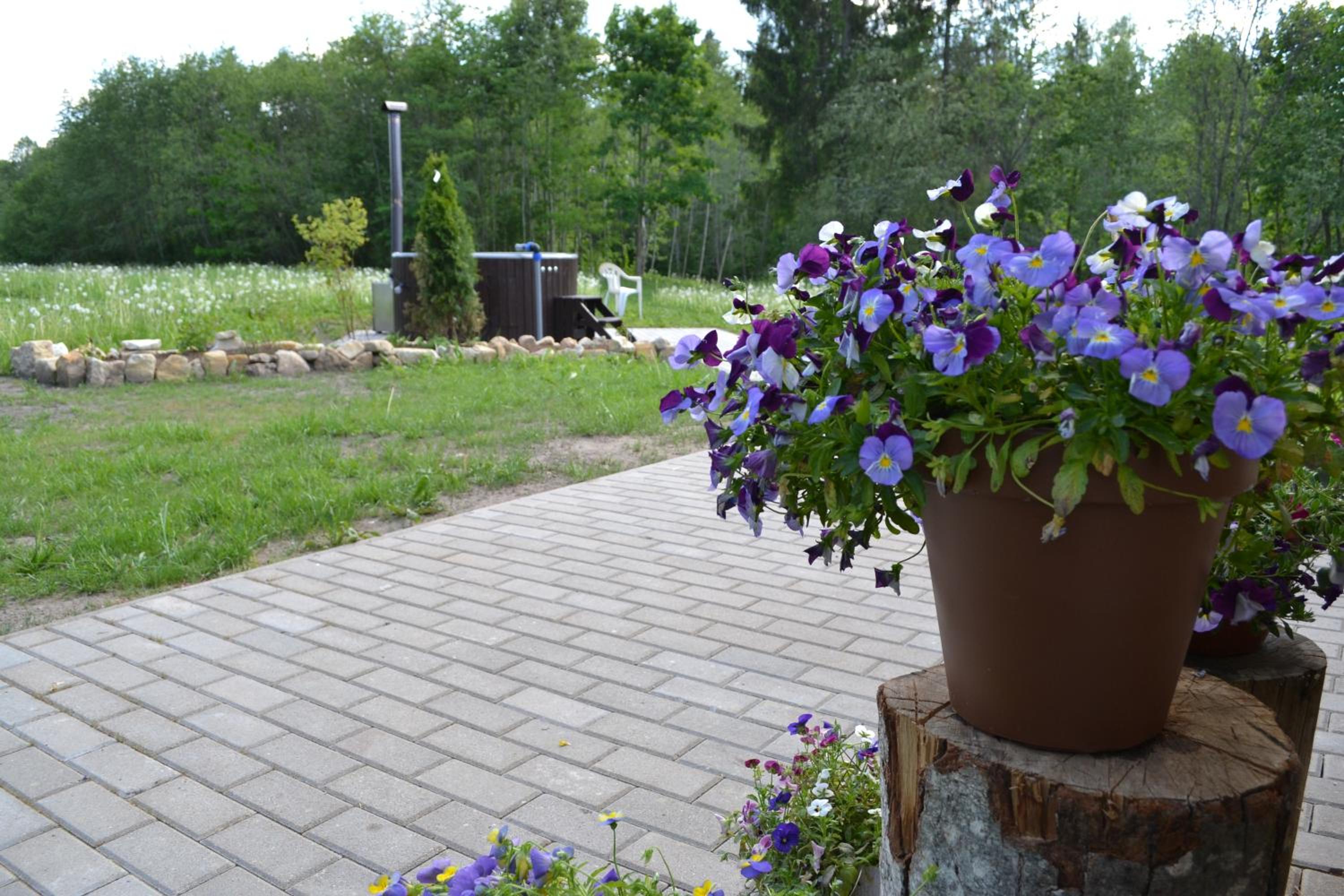 Vacation Home photo 2