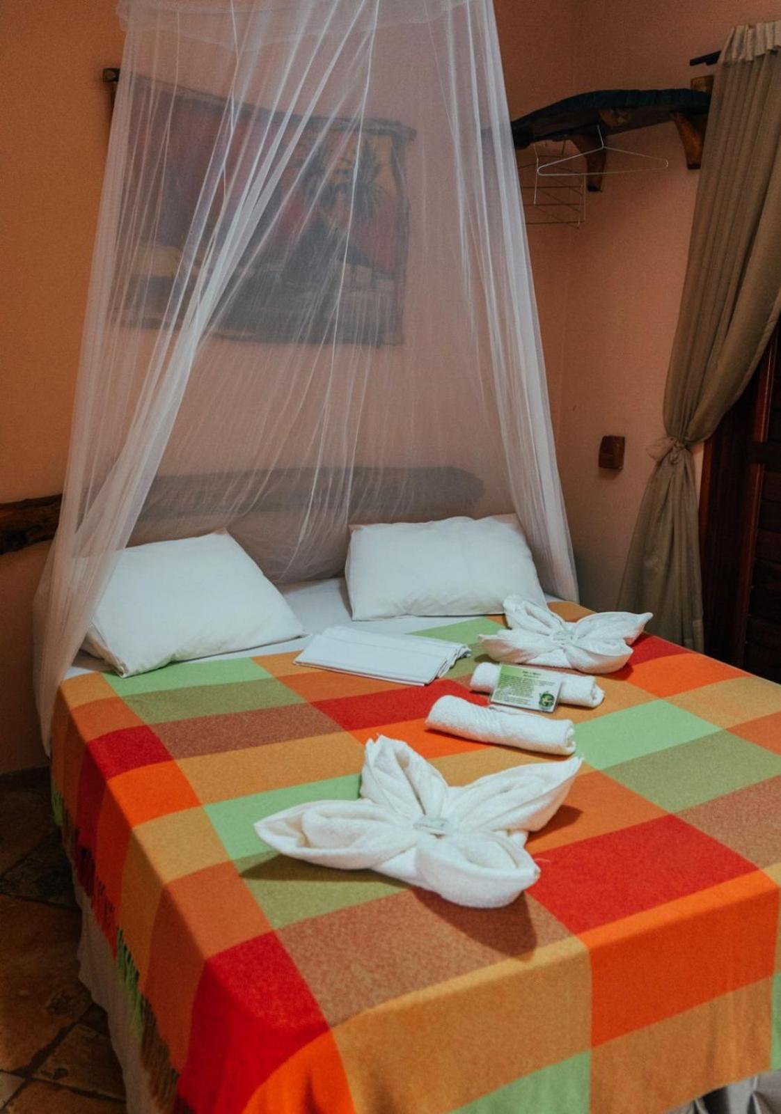 Superior Double Room with Garden View photo 3