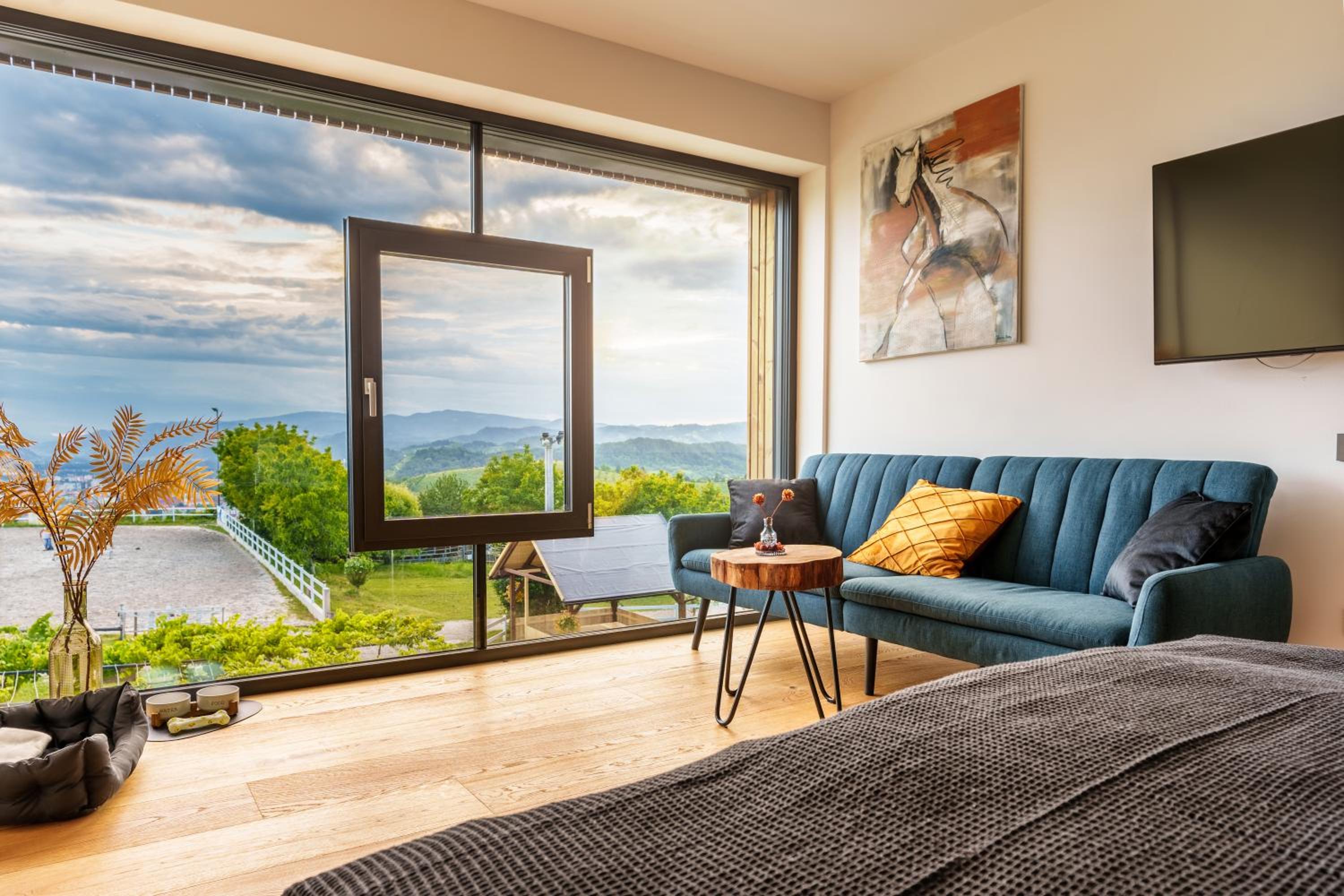Deluxe Double or Twin Room with City View photo 1