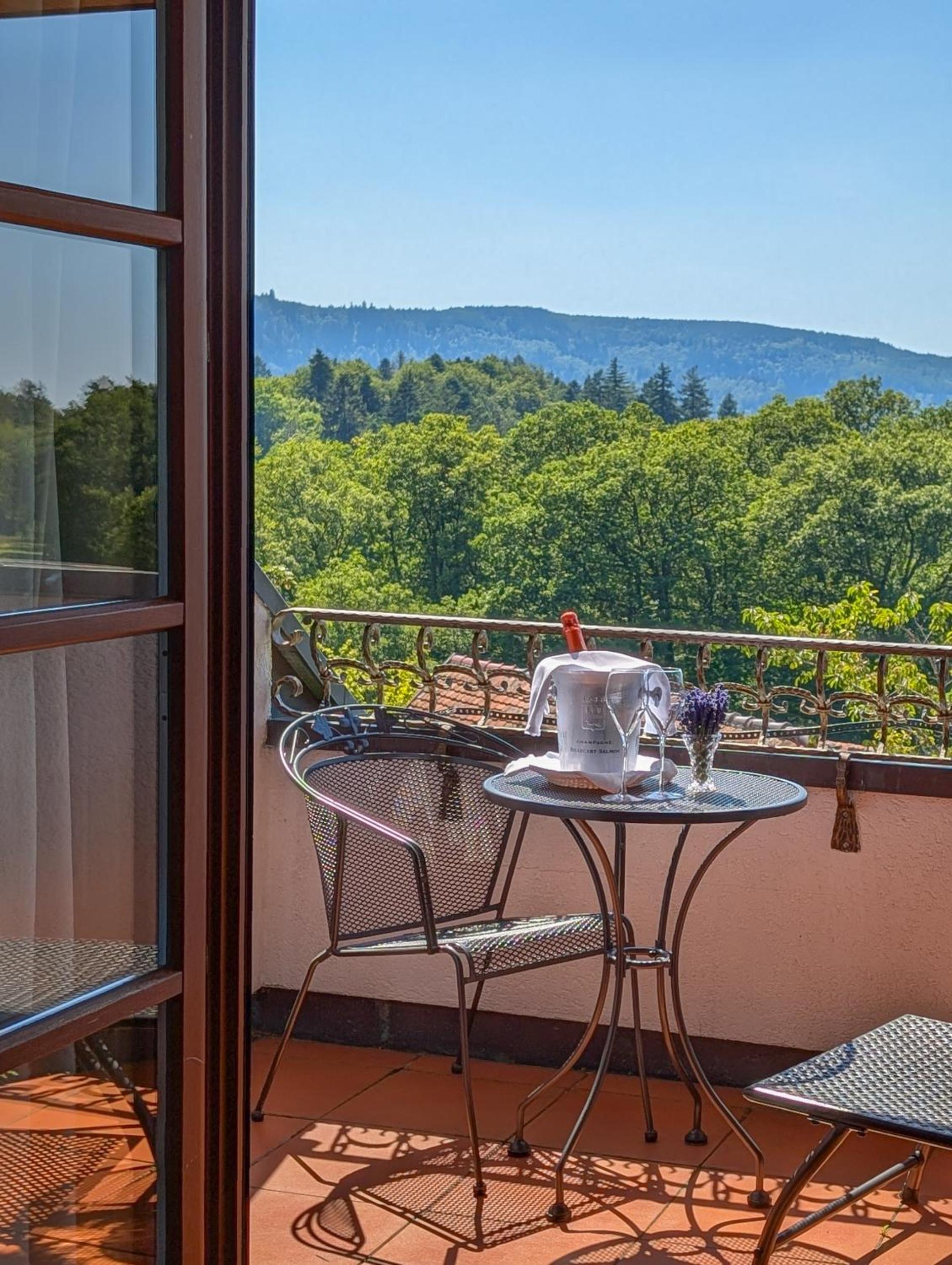 Comfort Double Room with Forest View photo 2