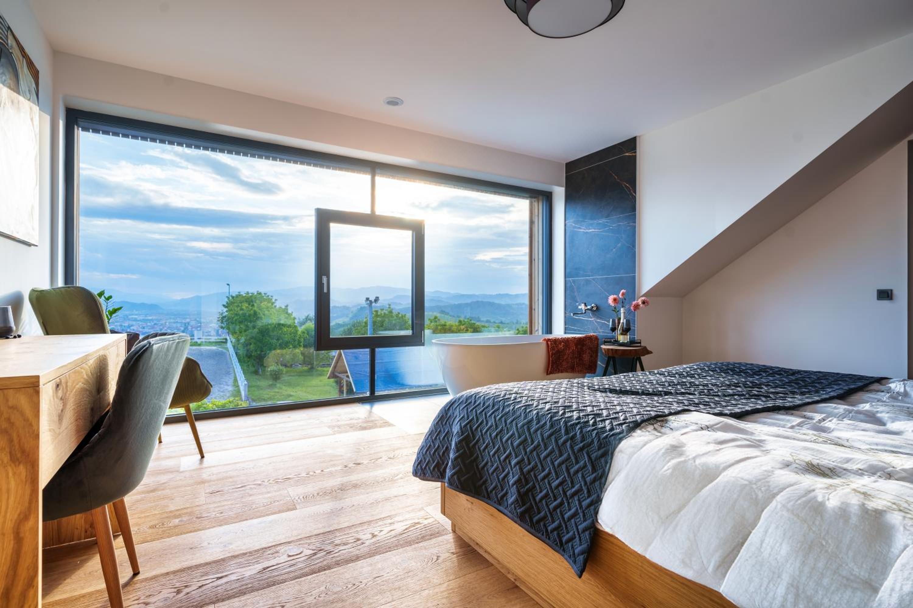 Deluxe Double or Twin Room with City View photo 1