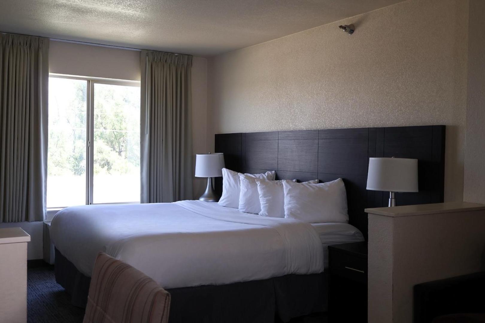 Junior Suite - Disability Access photo 1