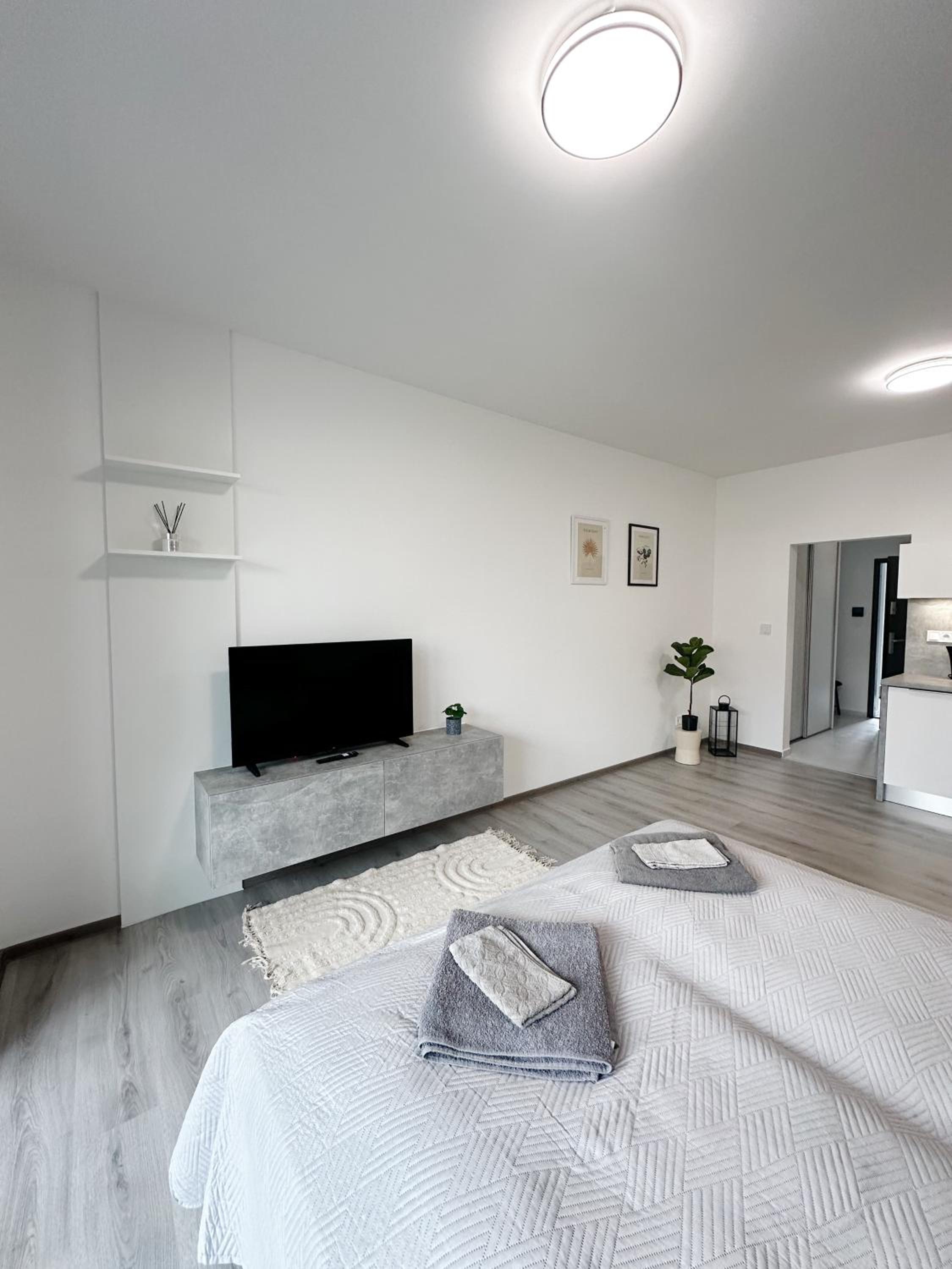 One-Bedroom Apartment photo 1